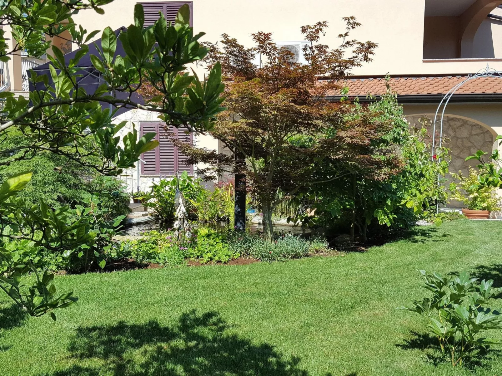 Ginkgo 4 - Image-tags.info