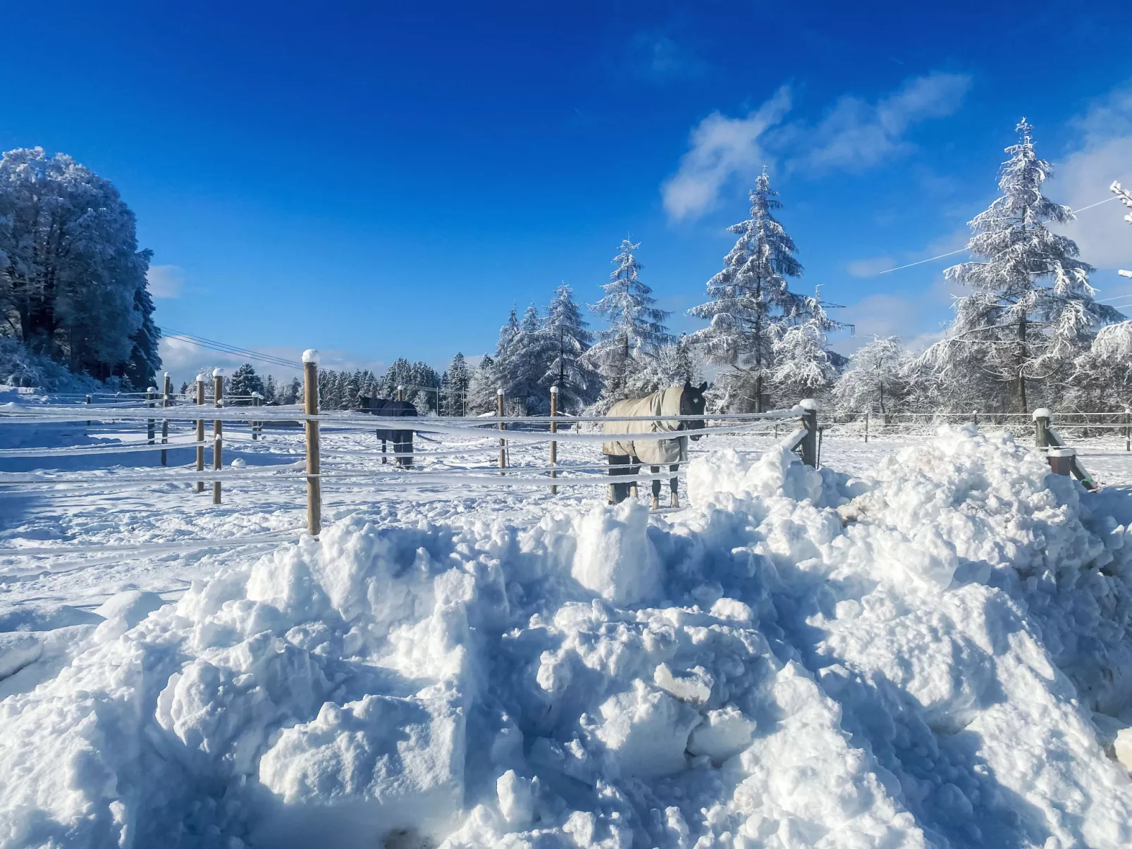 Alpenlodge-Spitzenstein - Buiten