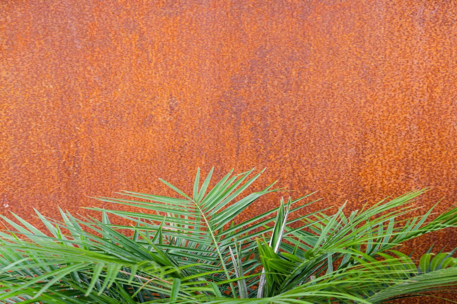 Villa Canyelles - Sfeer