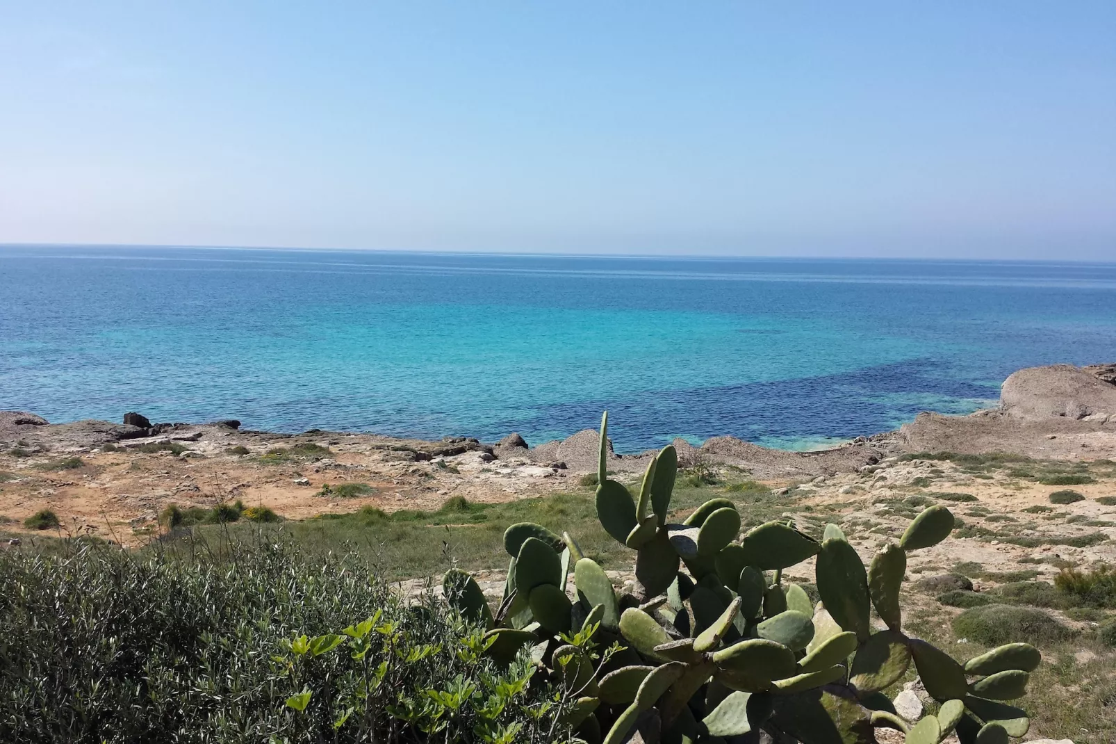 TS Quadri A - Gebieden zomer 1km