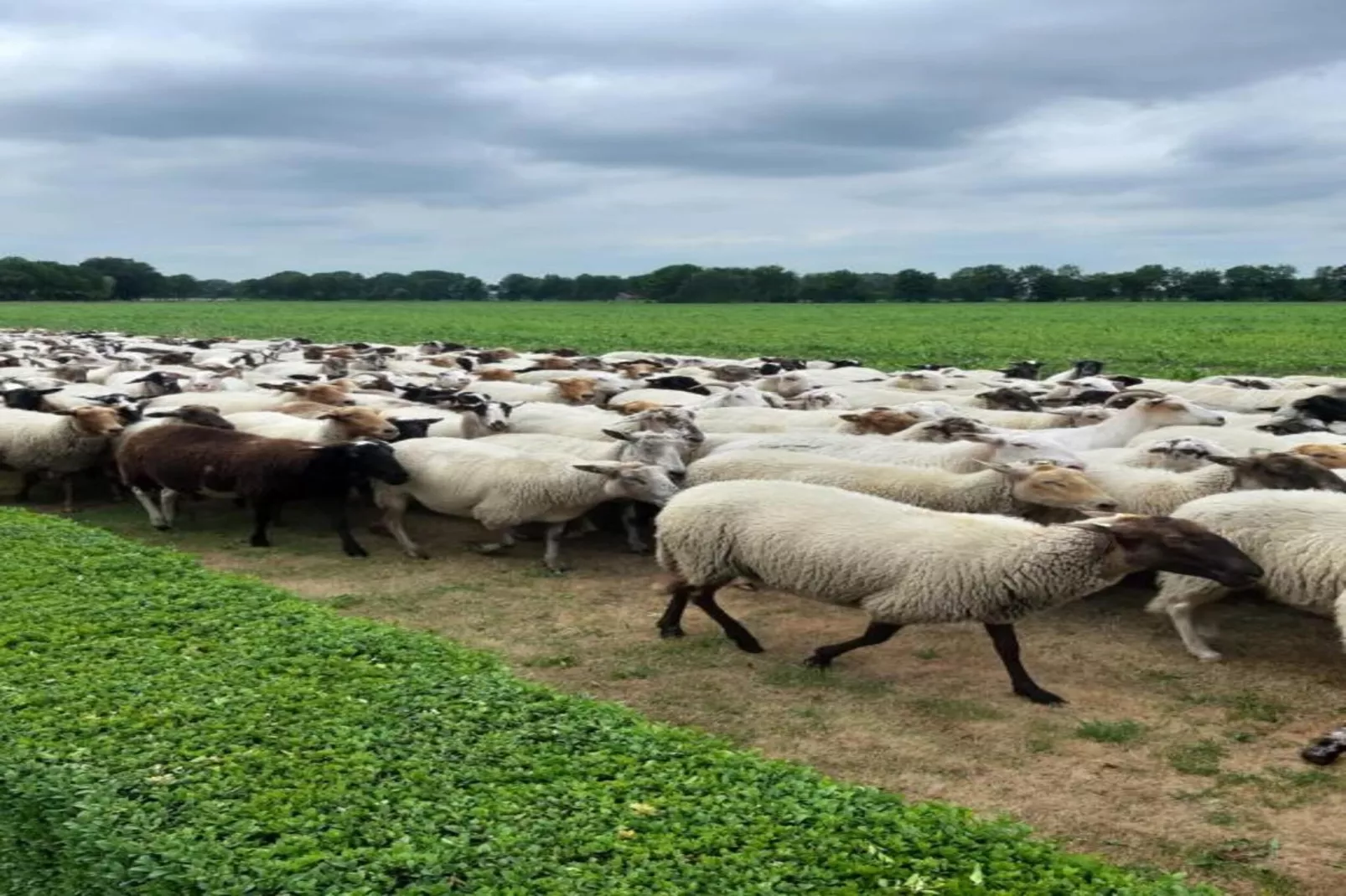 Chalet Egel - Gebieden zomer 20km