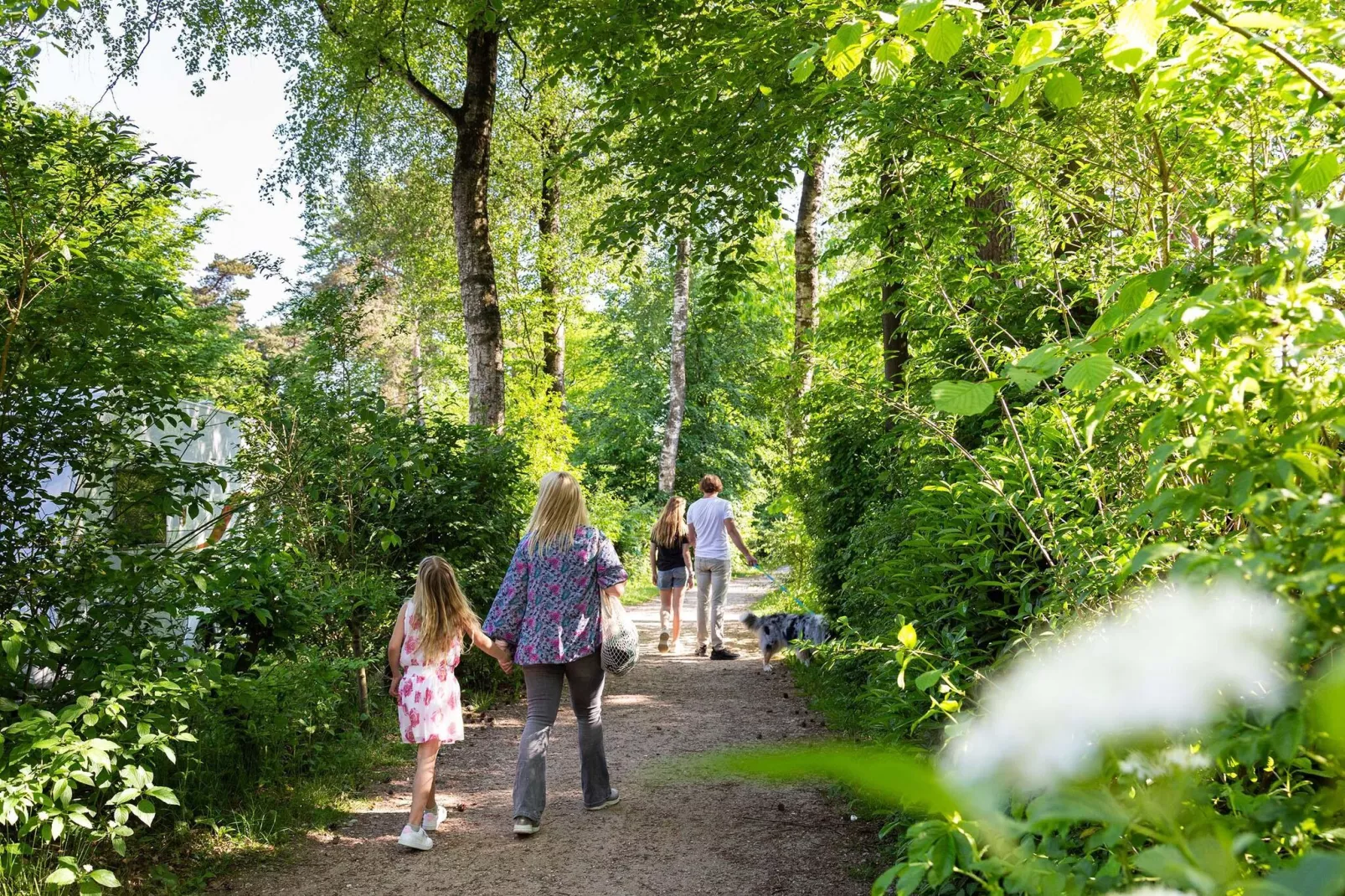 Resort Veluwe 15-Gebieden zomer 1km