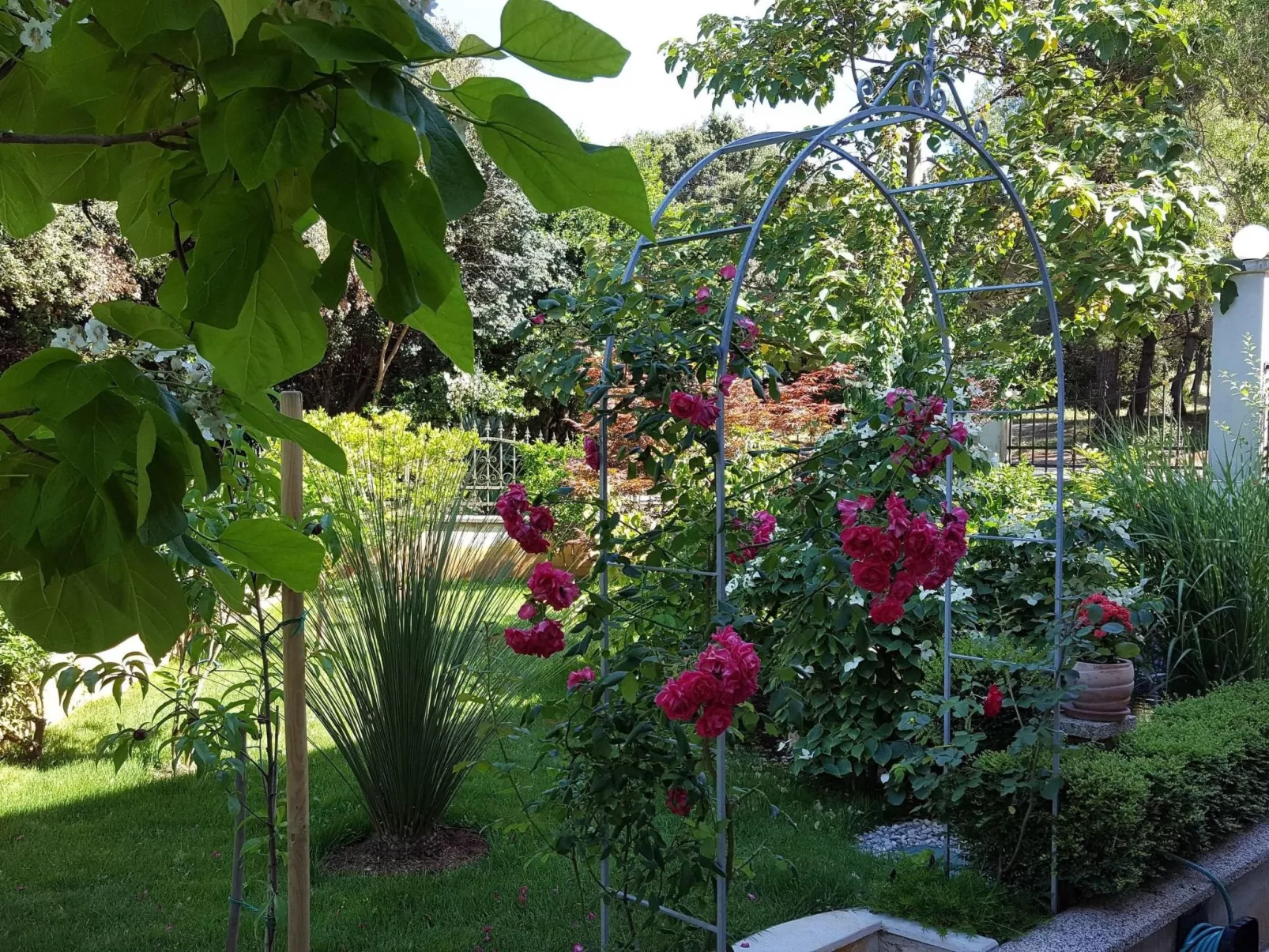 Ginkgo 4 - Image-tags.info