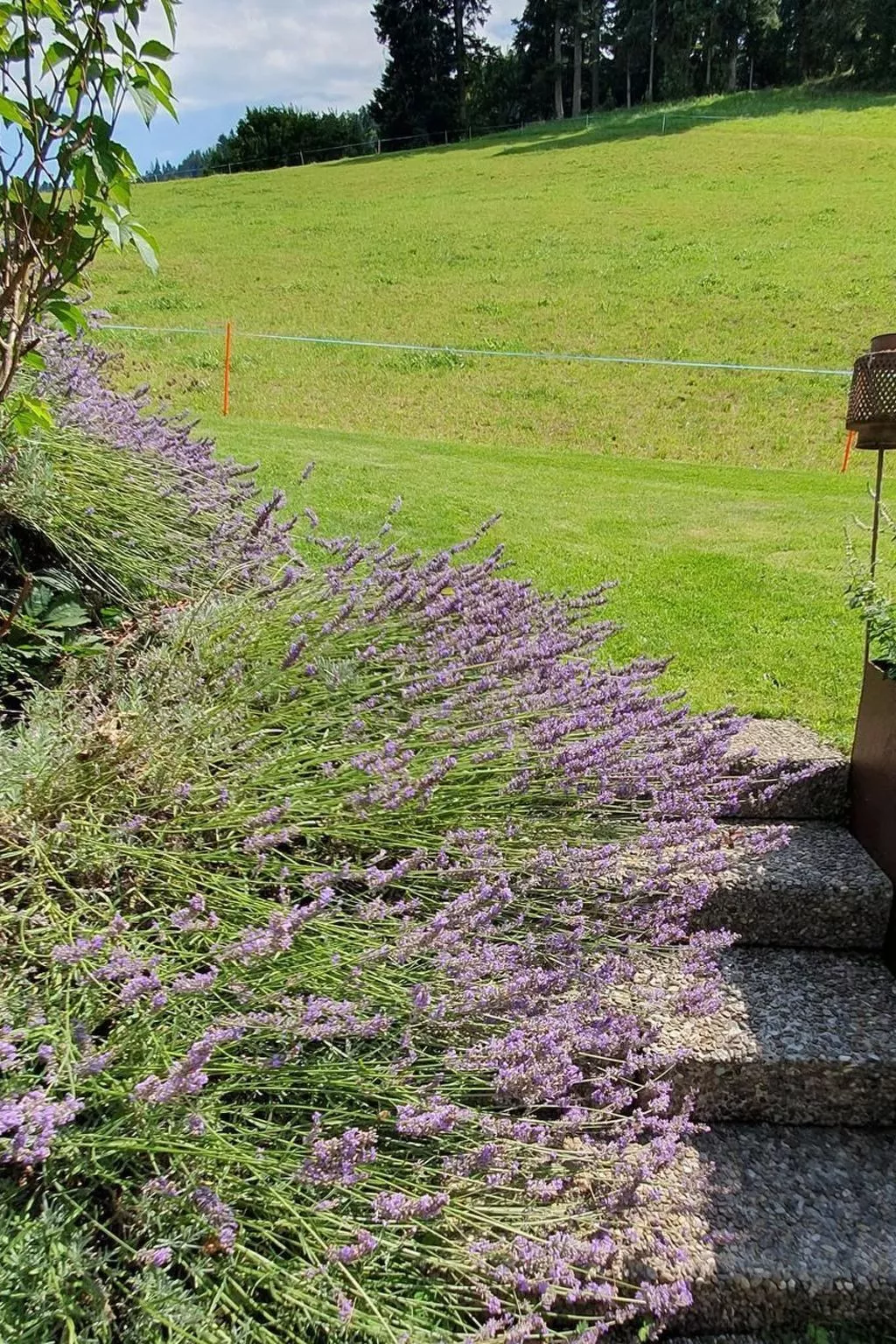 Chuderhütte - Ihr Gütli im Emmental - Buiten