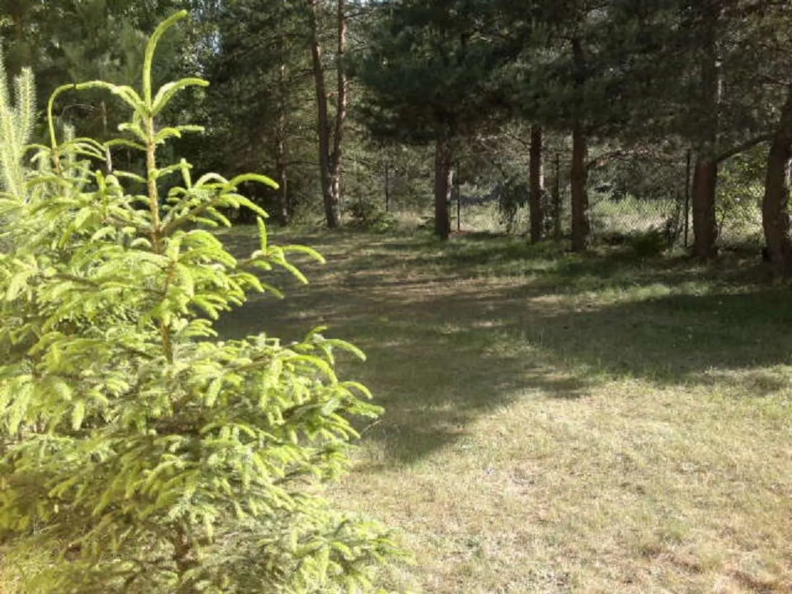 Mit eingezäuntem Grundstück am Wasser - Buiten