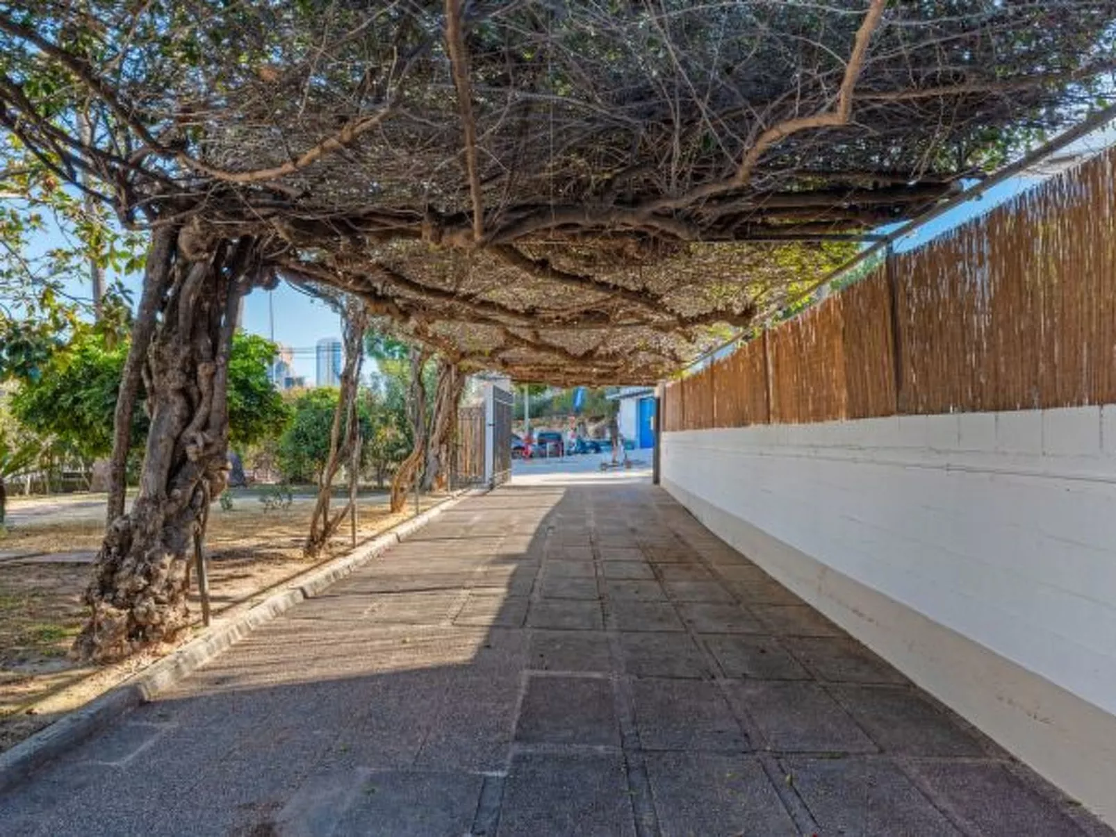 Villa Tropical - Plusholidays - Image-tags.info