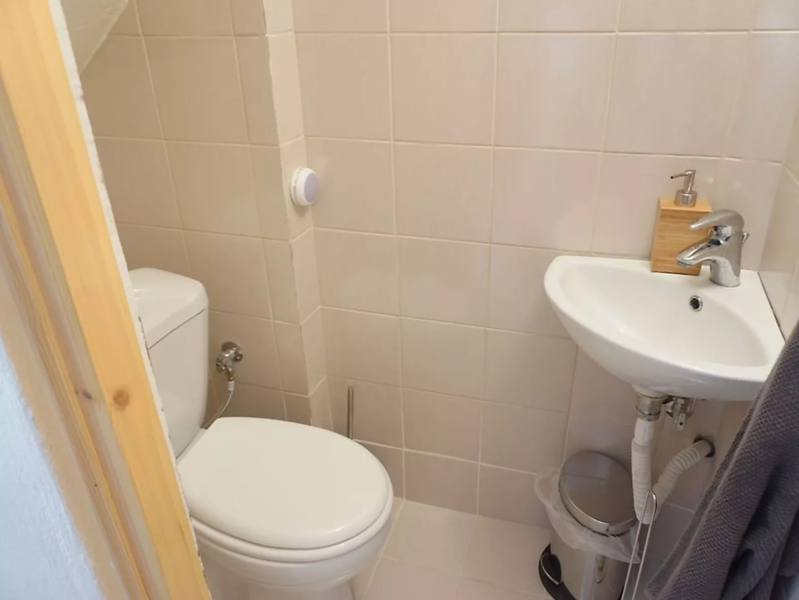 Oleander - Image-tags.info