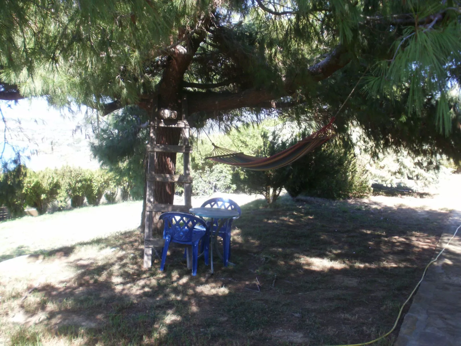 Charly Point Villa-Apartment, Doppelzimmer - Buiten