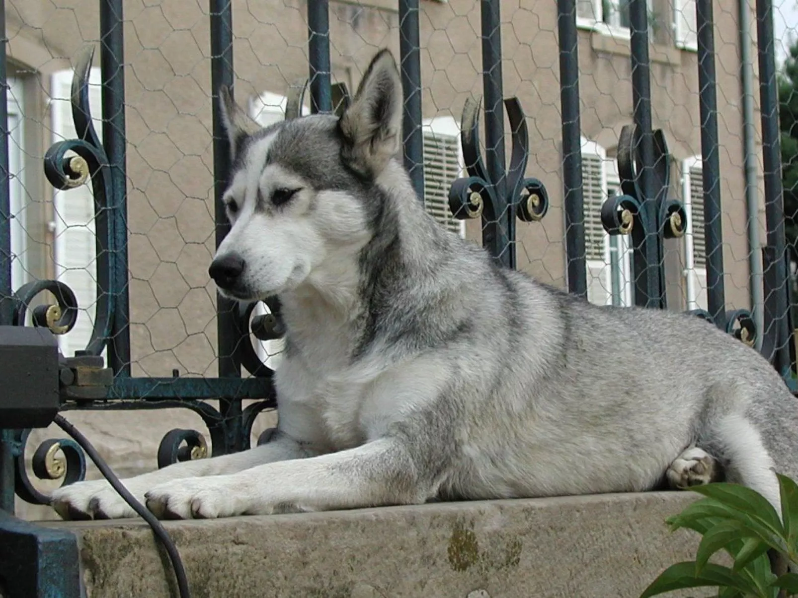 MaisonMazerand    Wohnen - Entspannen - Genießen - Buiten