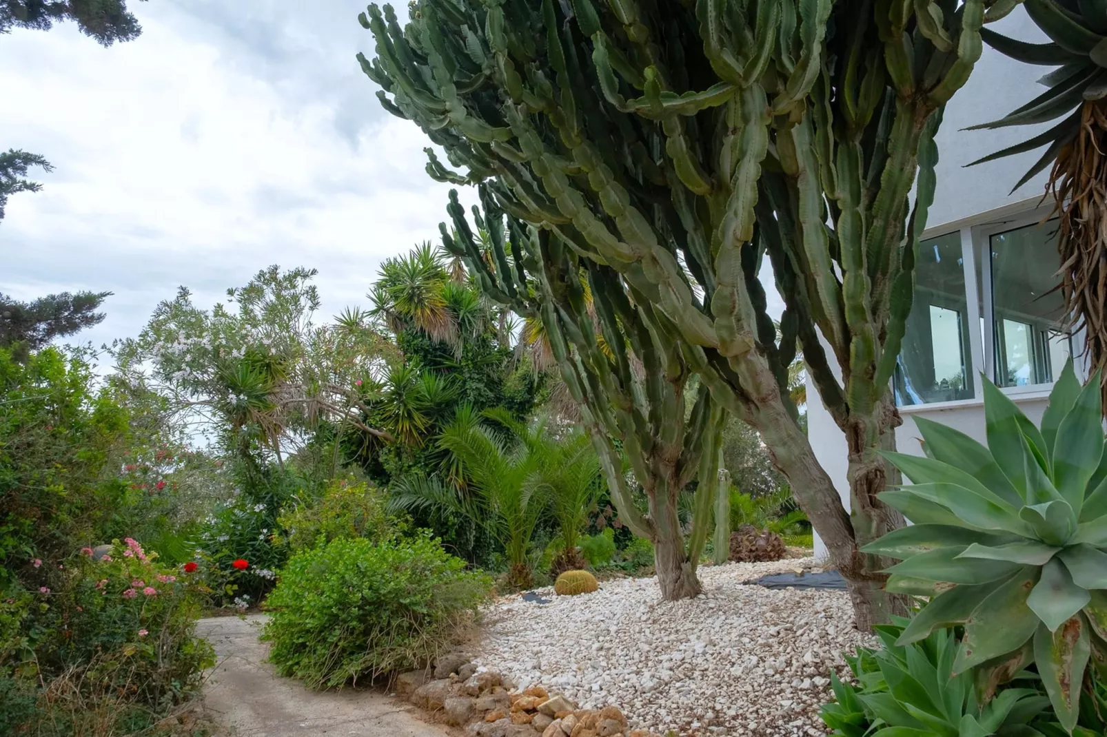 Villa Malvarosa - Tuinen zomer