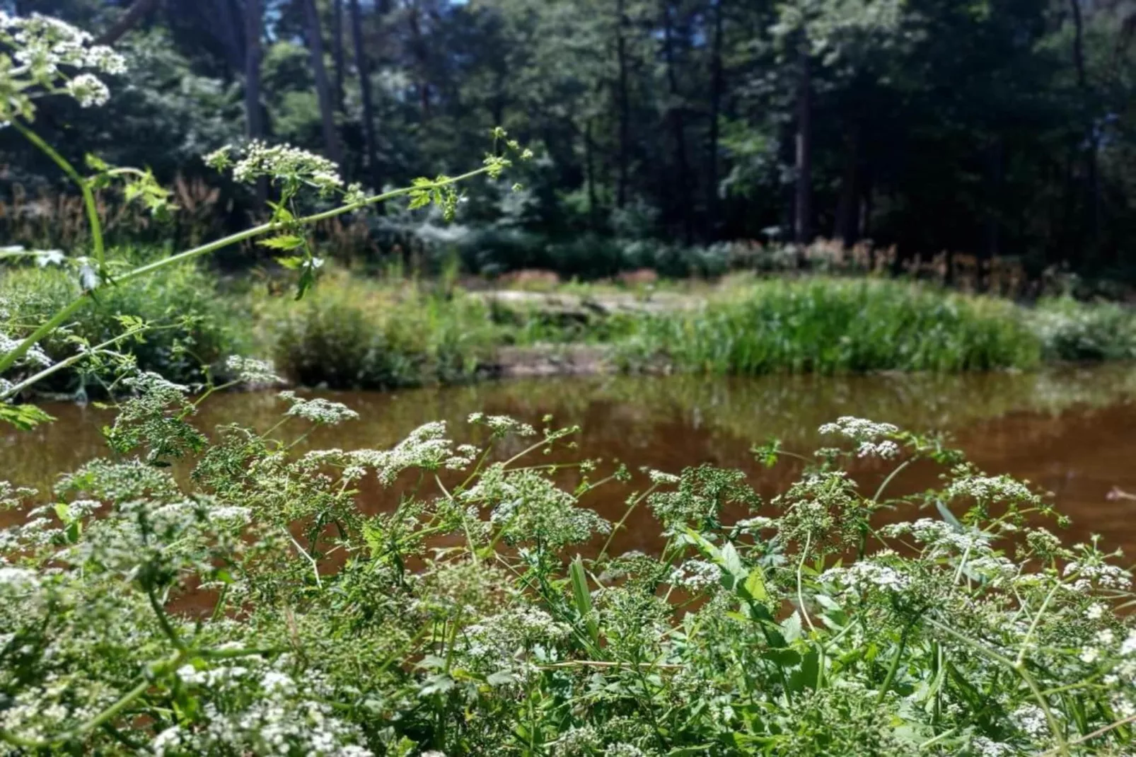Chalet Egel - Gebieden zomer 20km