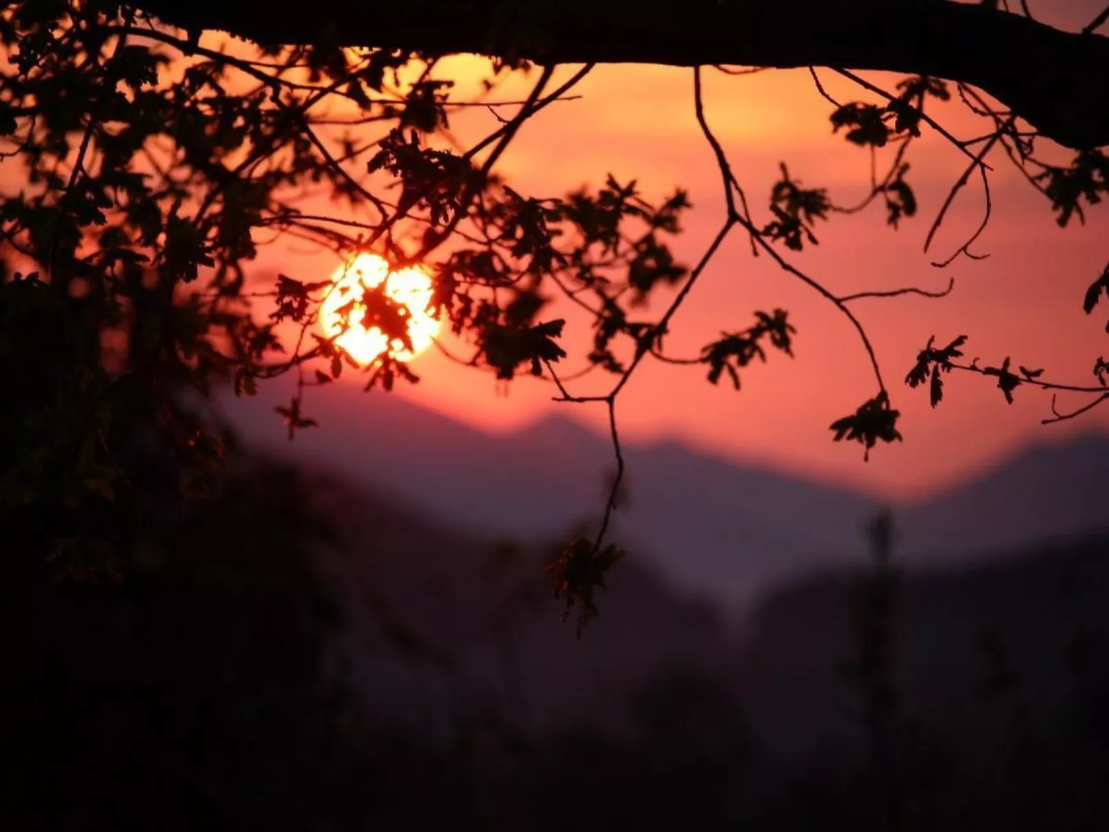 Schafmatthof 1 Obergeschoss - Buiten
