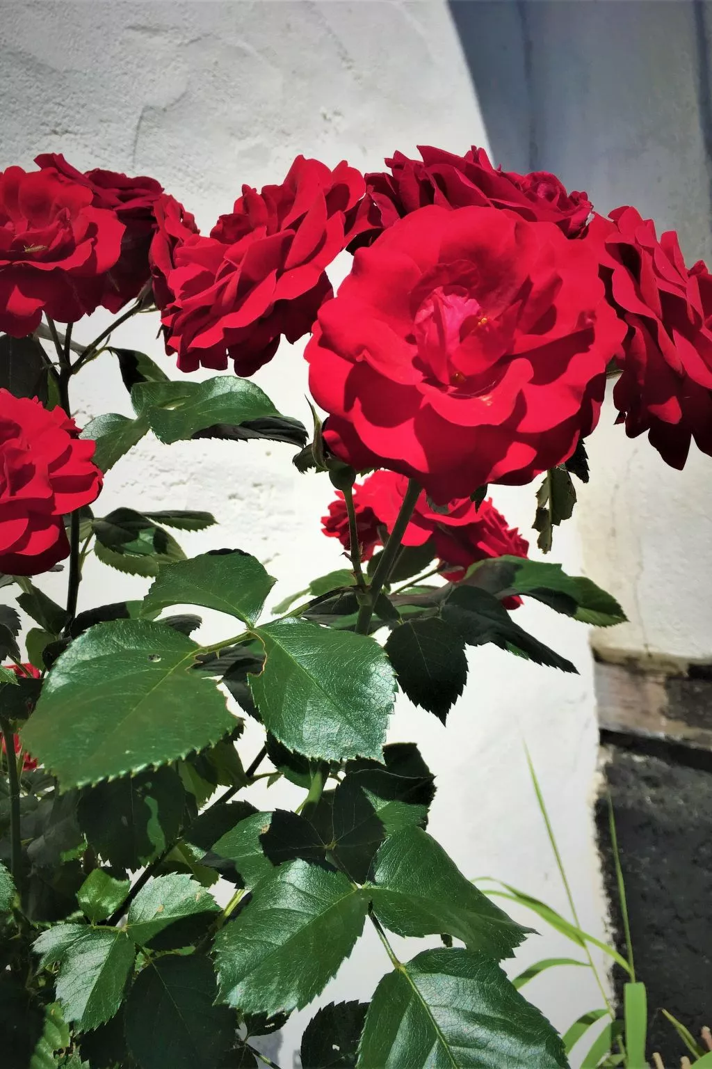 FH Godewind***** 45 - Buiten