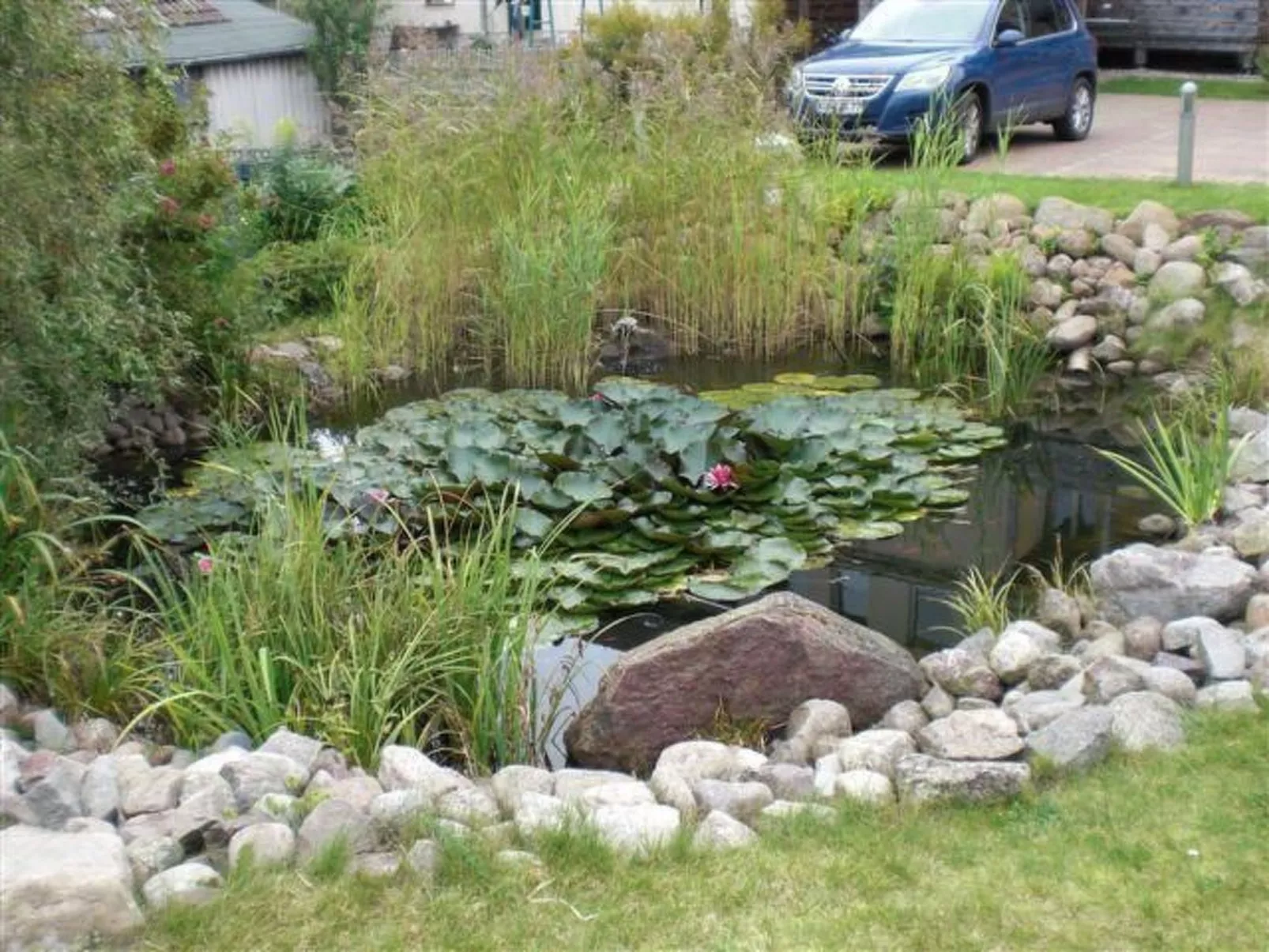 Apartmenthaus am See - Buiten