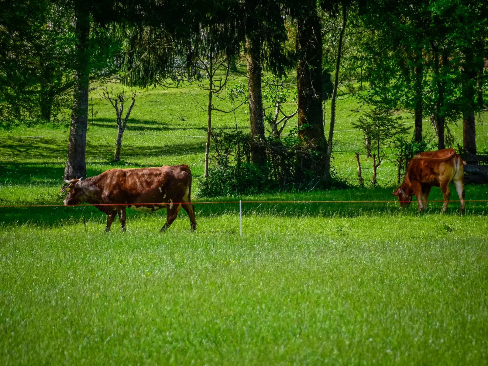 Makov Hrib - Omgeving