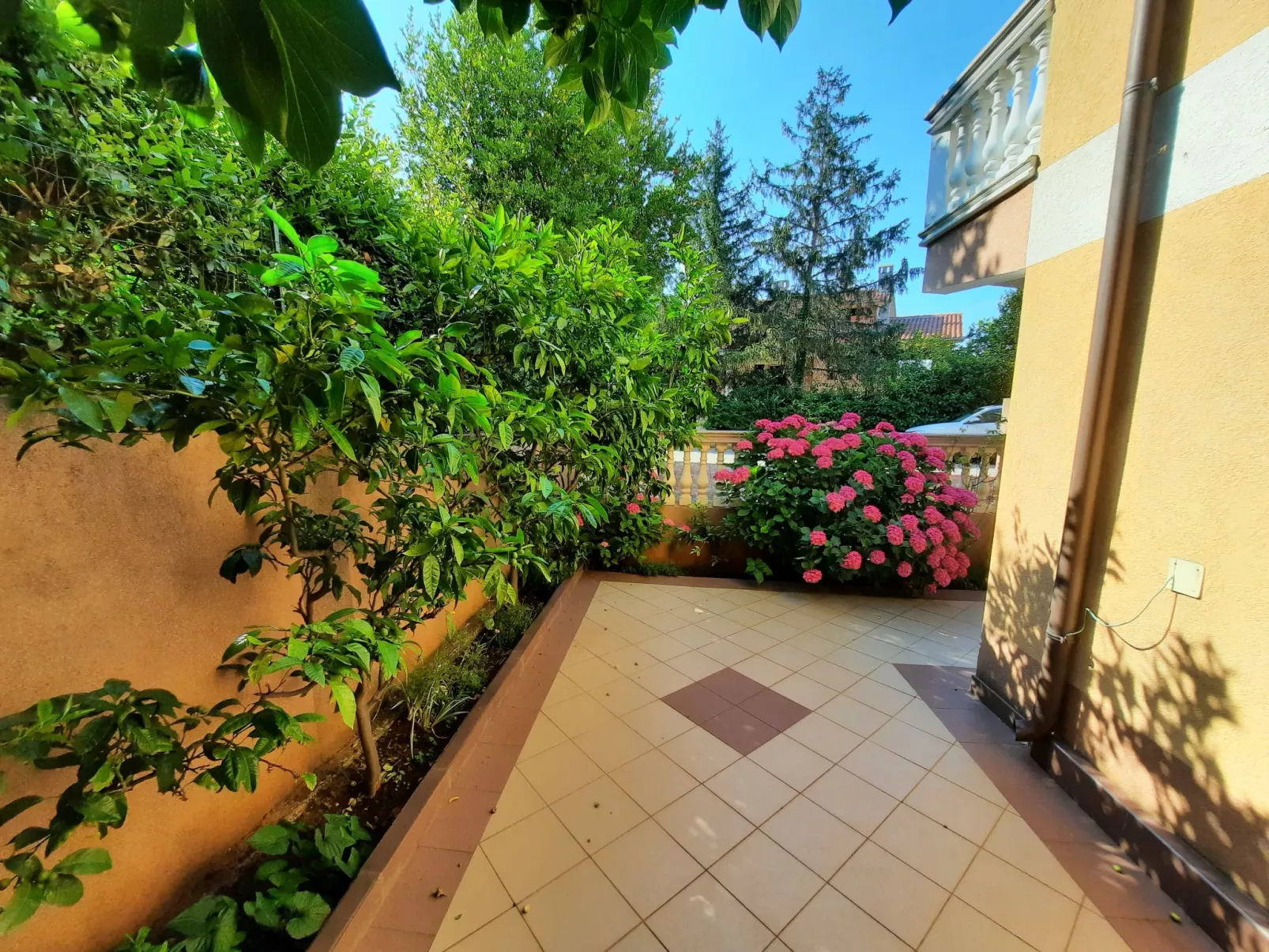 Villa Canaria 1 - Buiten