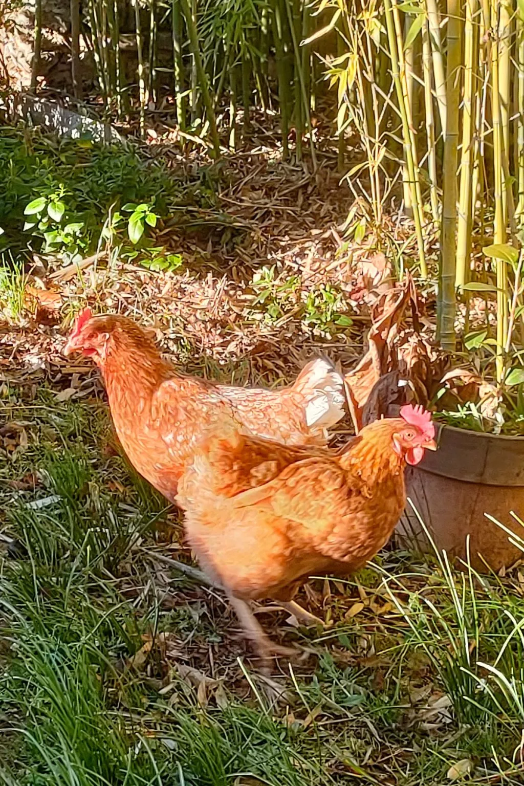 Haus mit Charme Landschaft von Aix - Buiten
