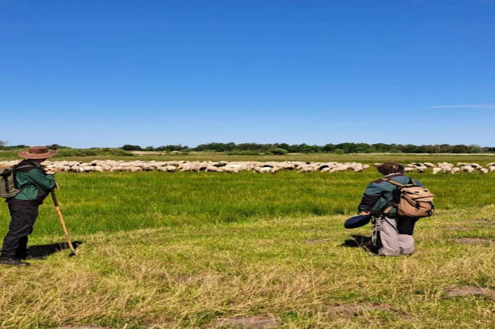 Chalet Egel - Gebieden zomer 20km