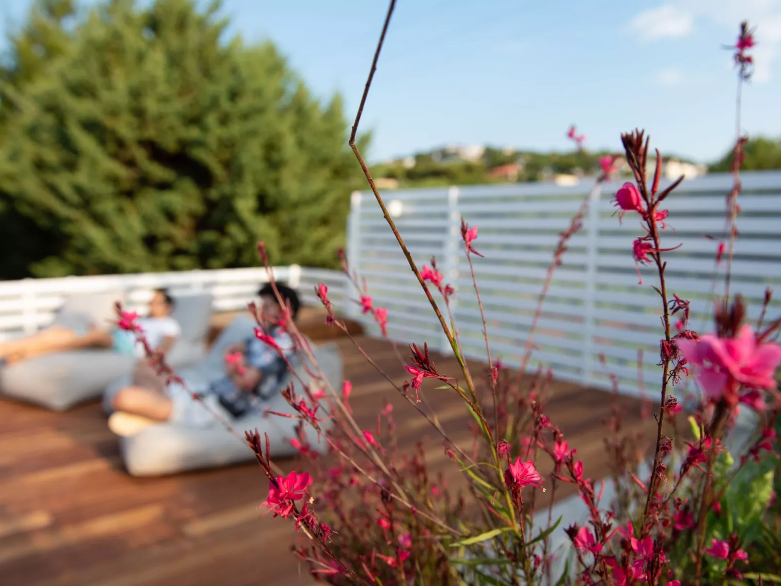 Evaeri Villa - Binnen