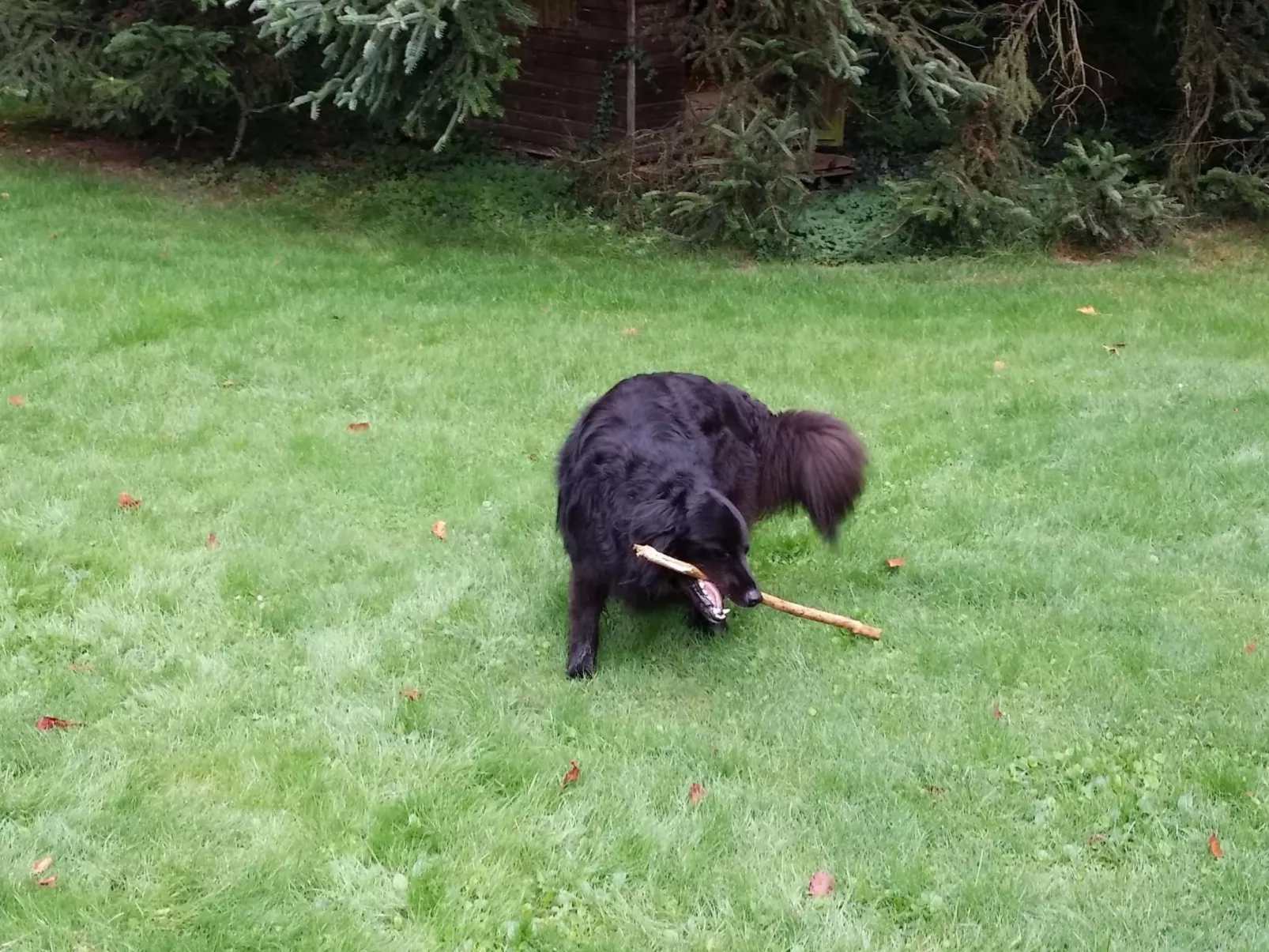 MaisonMazerand    Wohnen - Entspannen - Genießen - Buiten