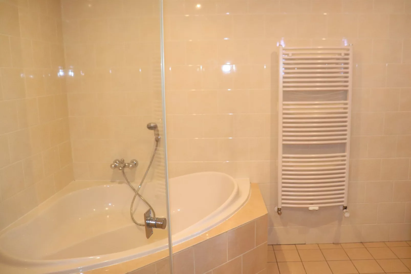 Boerderij Mulder Dalerveen - Badkamer