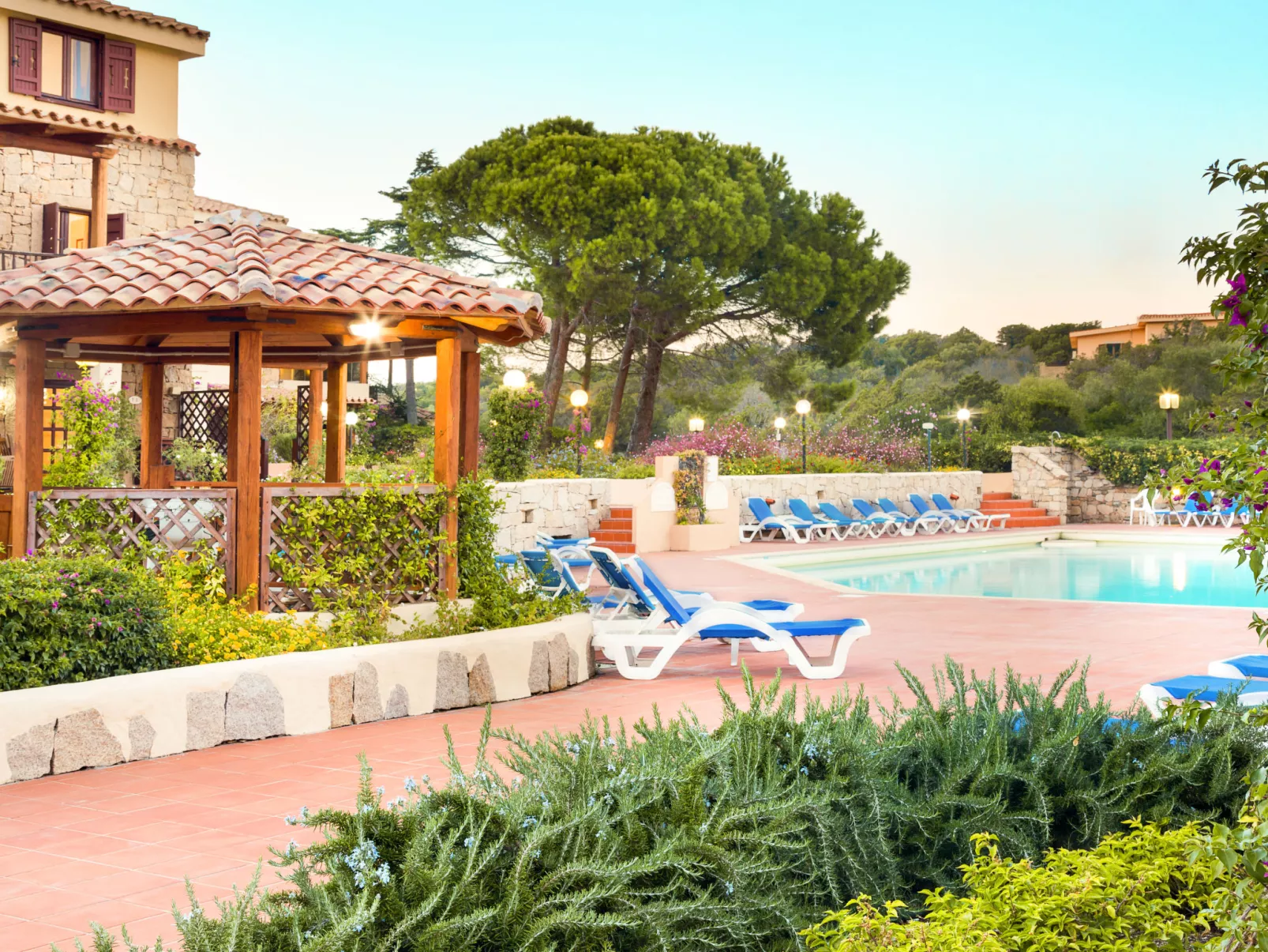 Bougainvillae Trilo Plus - Buiten