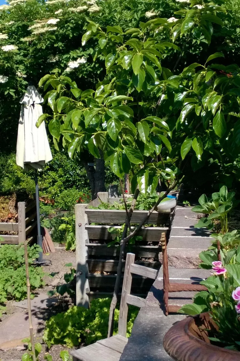 Villa Romantica - Buiten