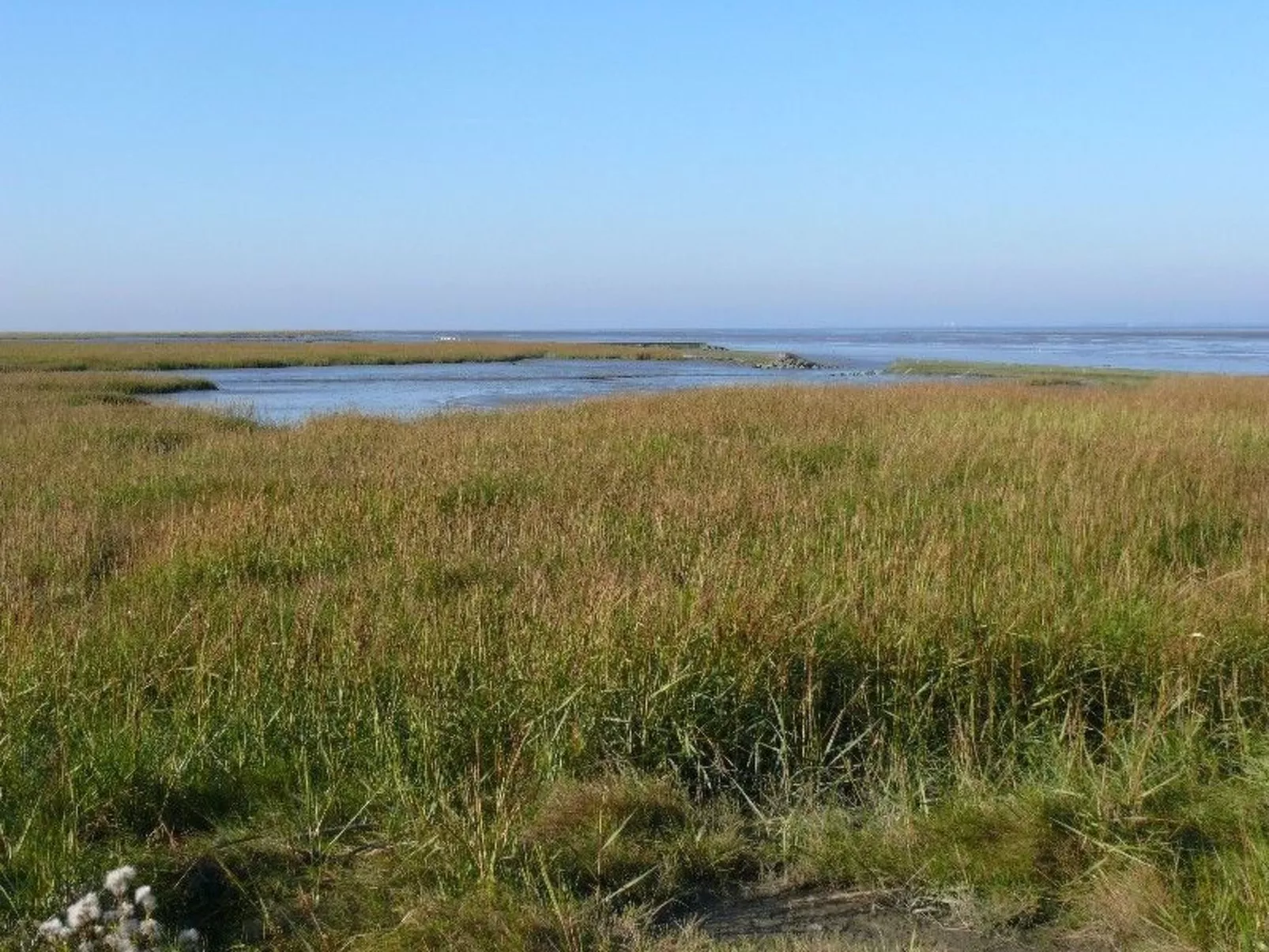 Logeerkamers "Gästezimmer Dellarte" - Buiten