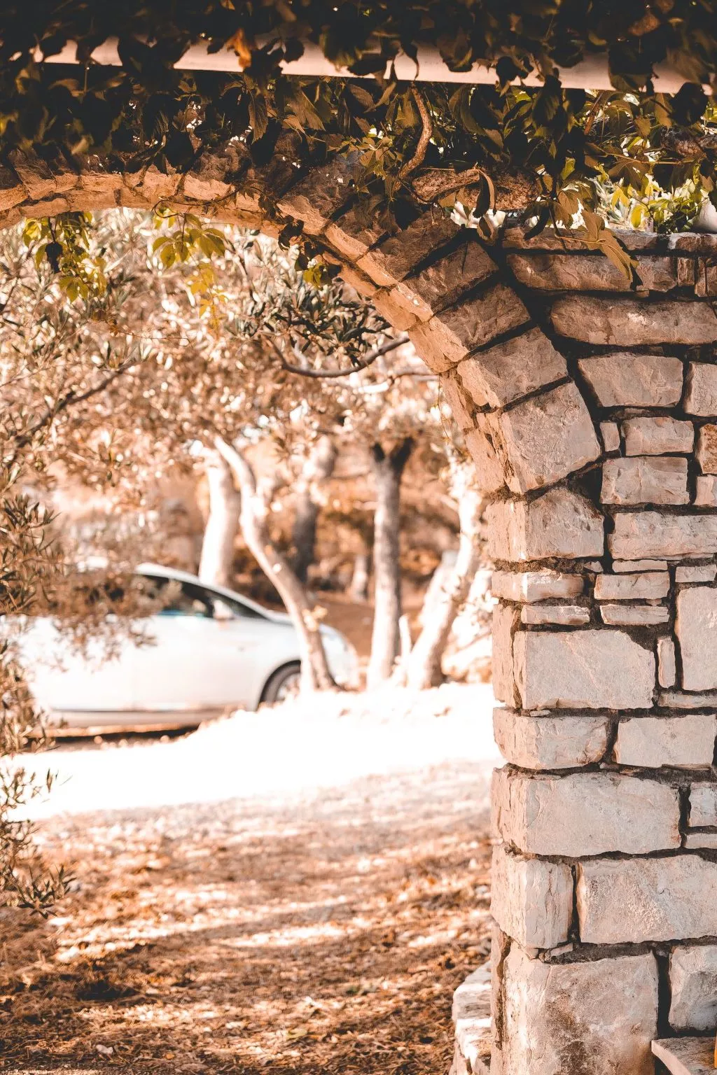 Haus am Meer Šolta - Buiten