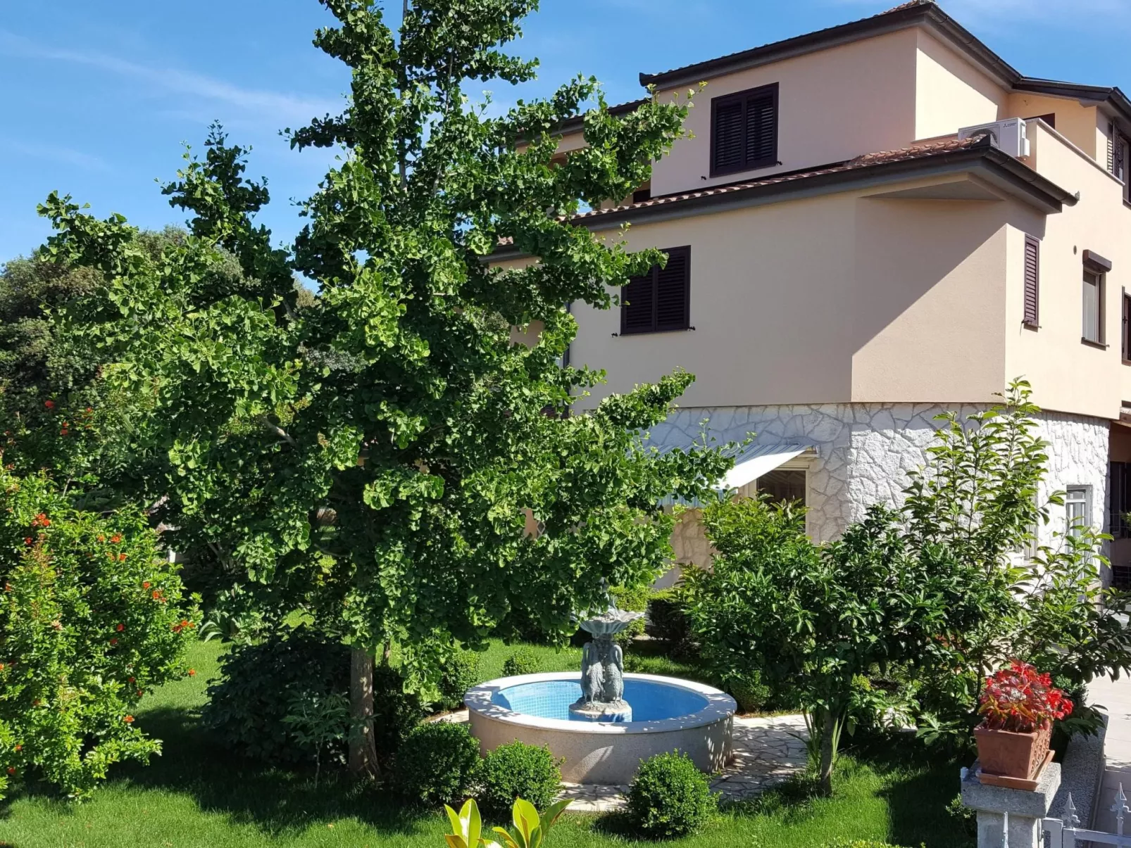 Ginkgo 4 - Image-tags.info