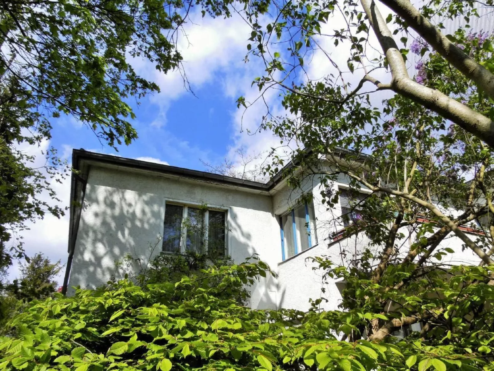 Kleine Villa West - Buiten