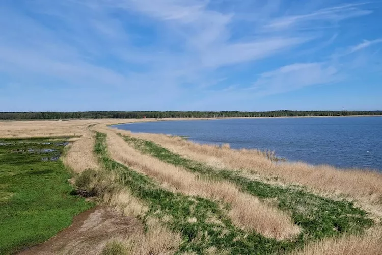 Dom wakacyjny w Dębinie dla max 8 osób - Gebieden zomer 5km