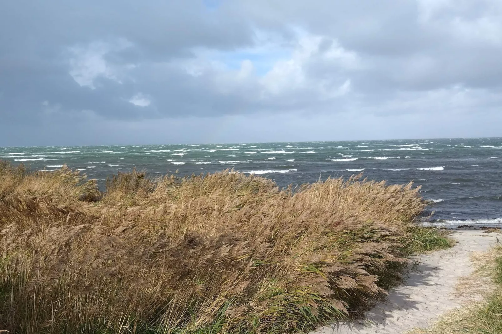 4 persoons vakantie huis in Læsø - Waterzicht