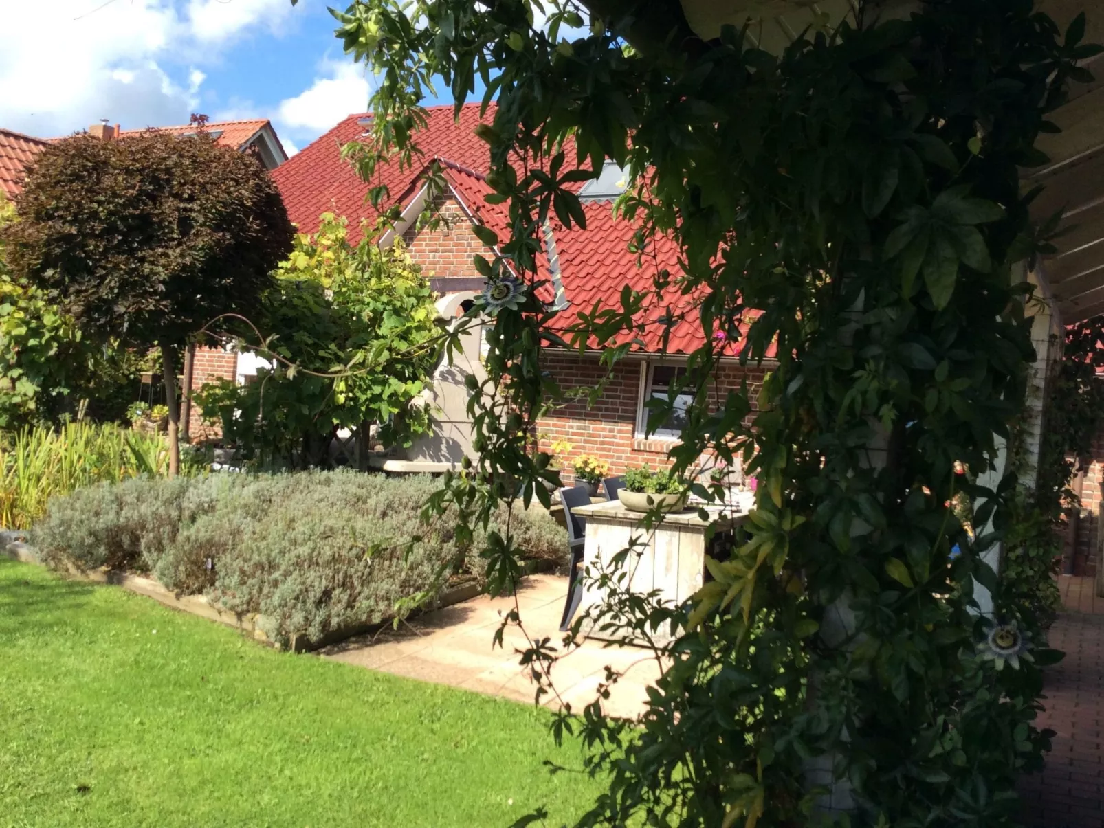 Logeerkamers "Gästezimmer Dellarte" - Buiten