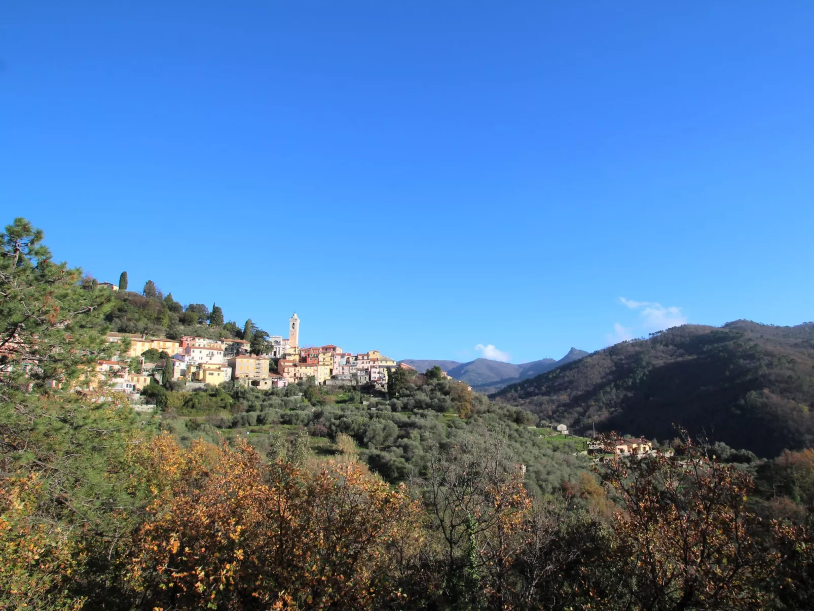 Kamera mit Wi-Fi - Omgeving