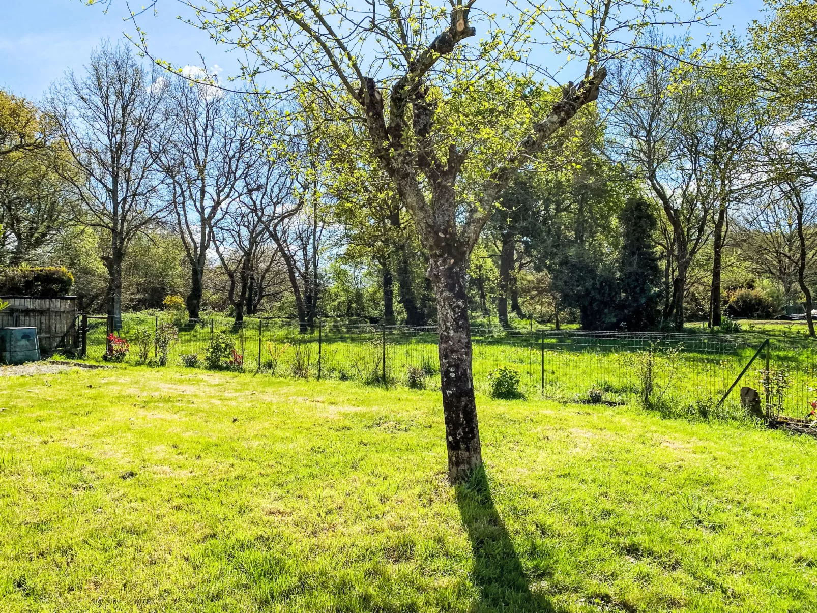  Maison Caradec - Buiten