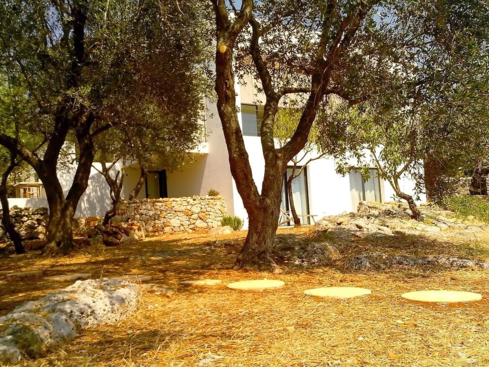 Architektenvilla mit Meerblick im Süden Apuliens - Buiten