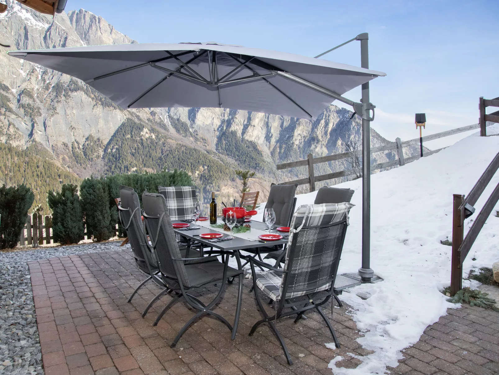 Ecureuil noir - Buiten