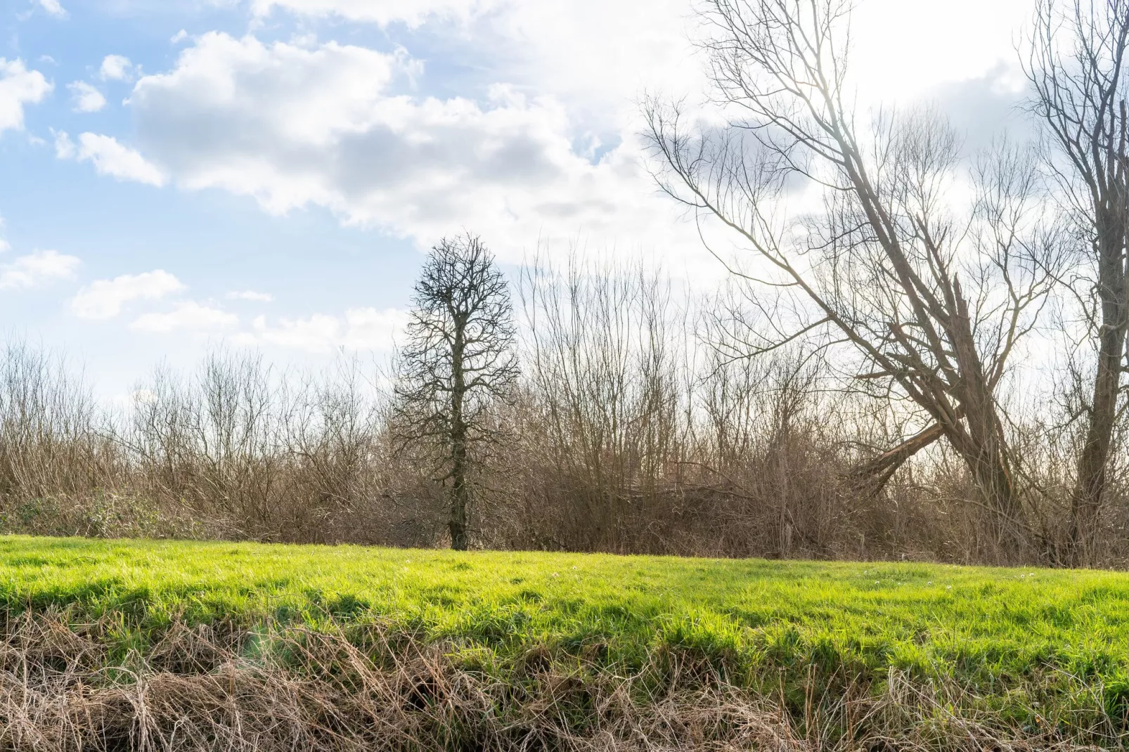 Villa Lacus 553-Gebieden zomer 5km