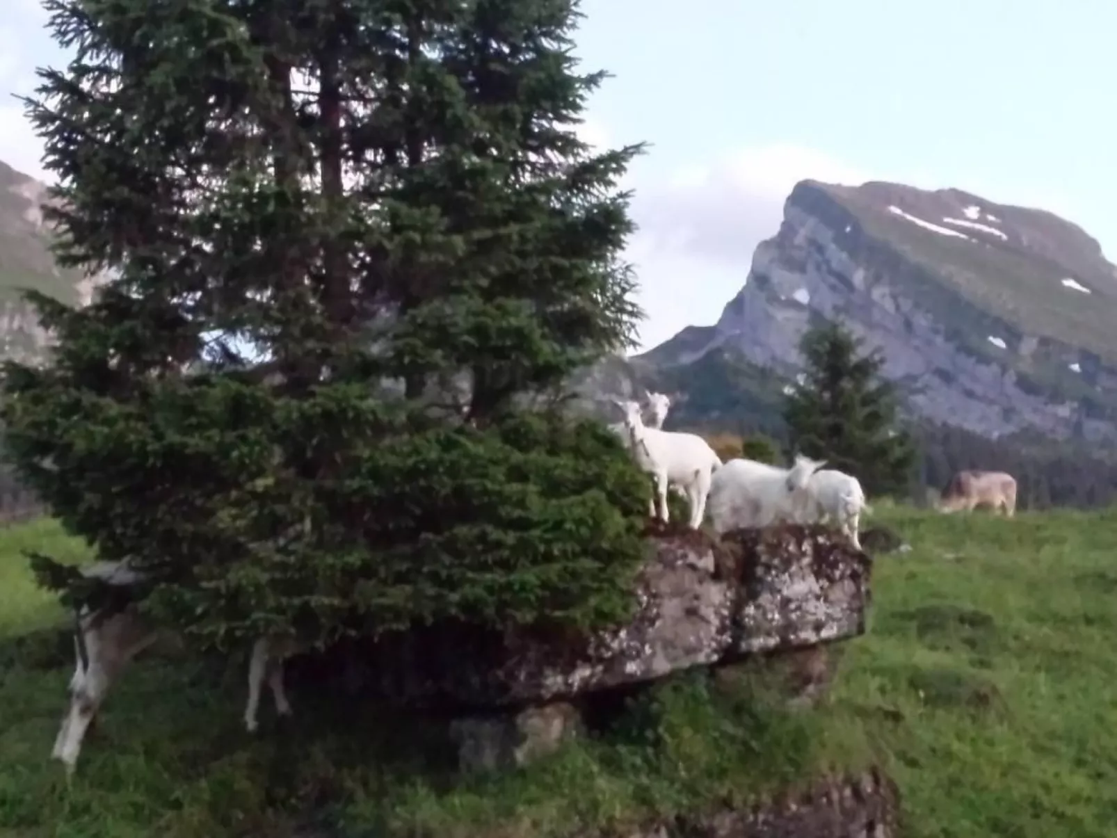 Hof Unterstein - Buiten