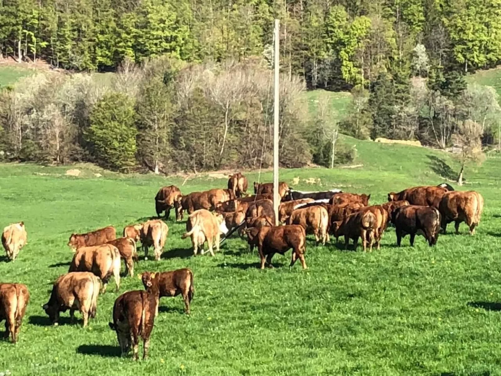 Schafmatthof 1 Obergeschoss - Buiten