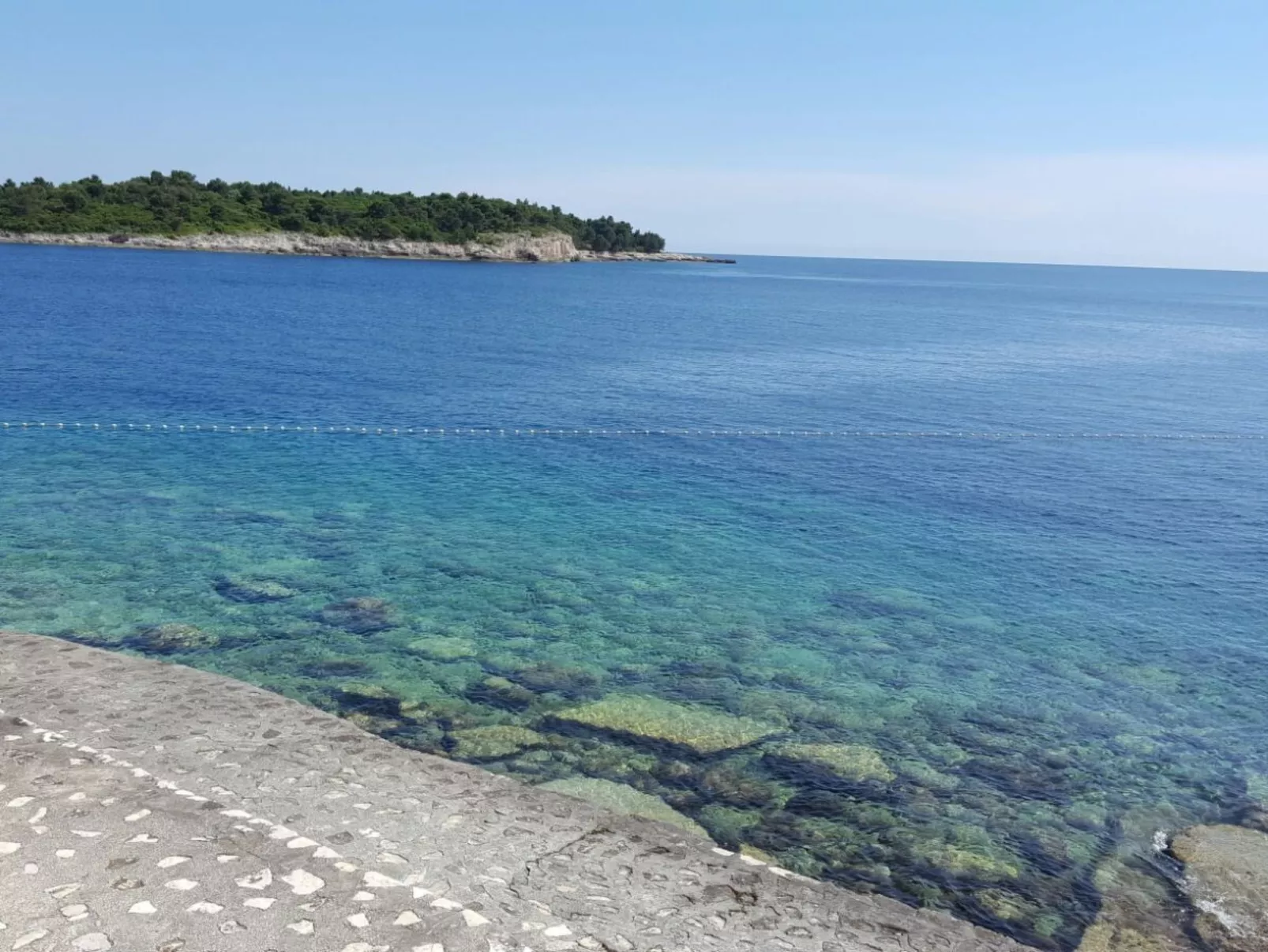 Ginkgo 4 - Image-tags.info