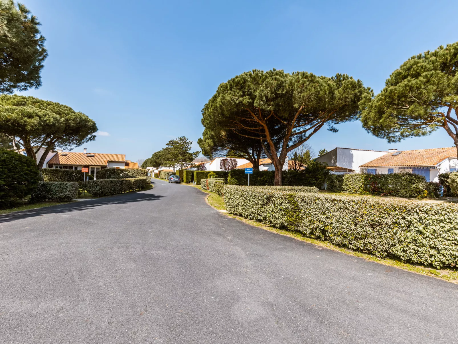 Les Palmyriennes - Buiten