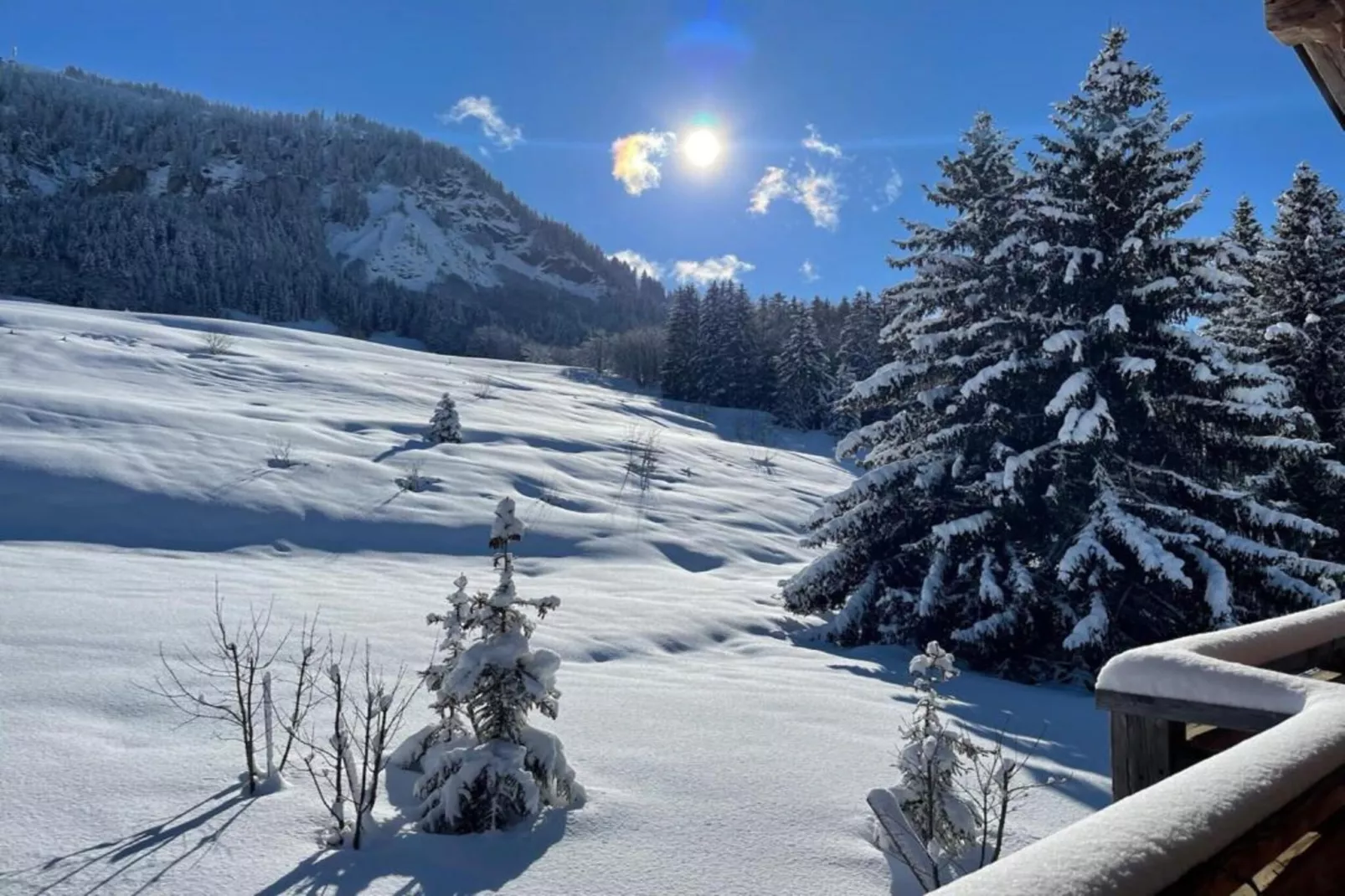 Les Portes de Megève 1 - Gebied winter 20km