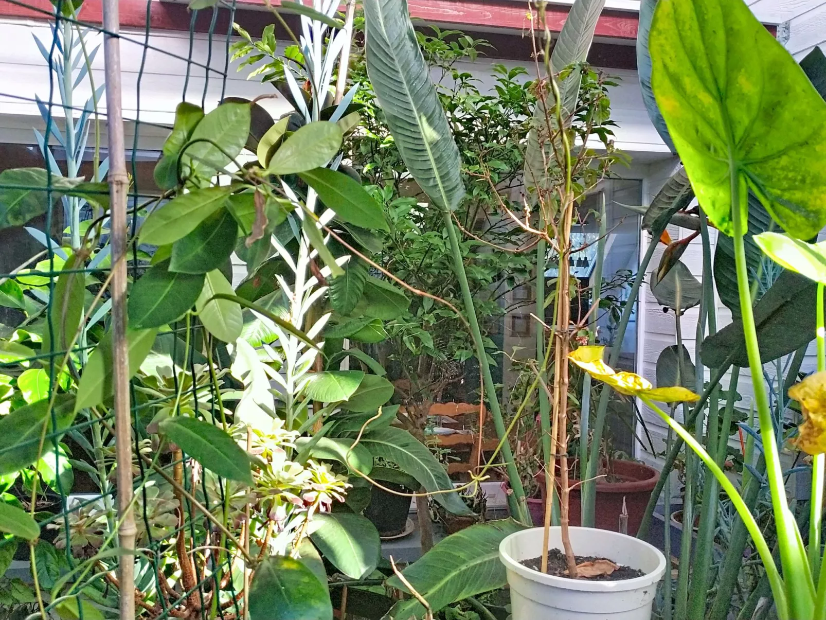 Le Nautilus - Binnen