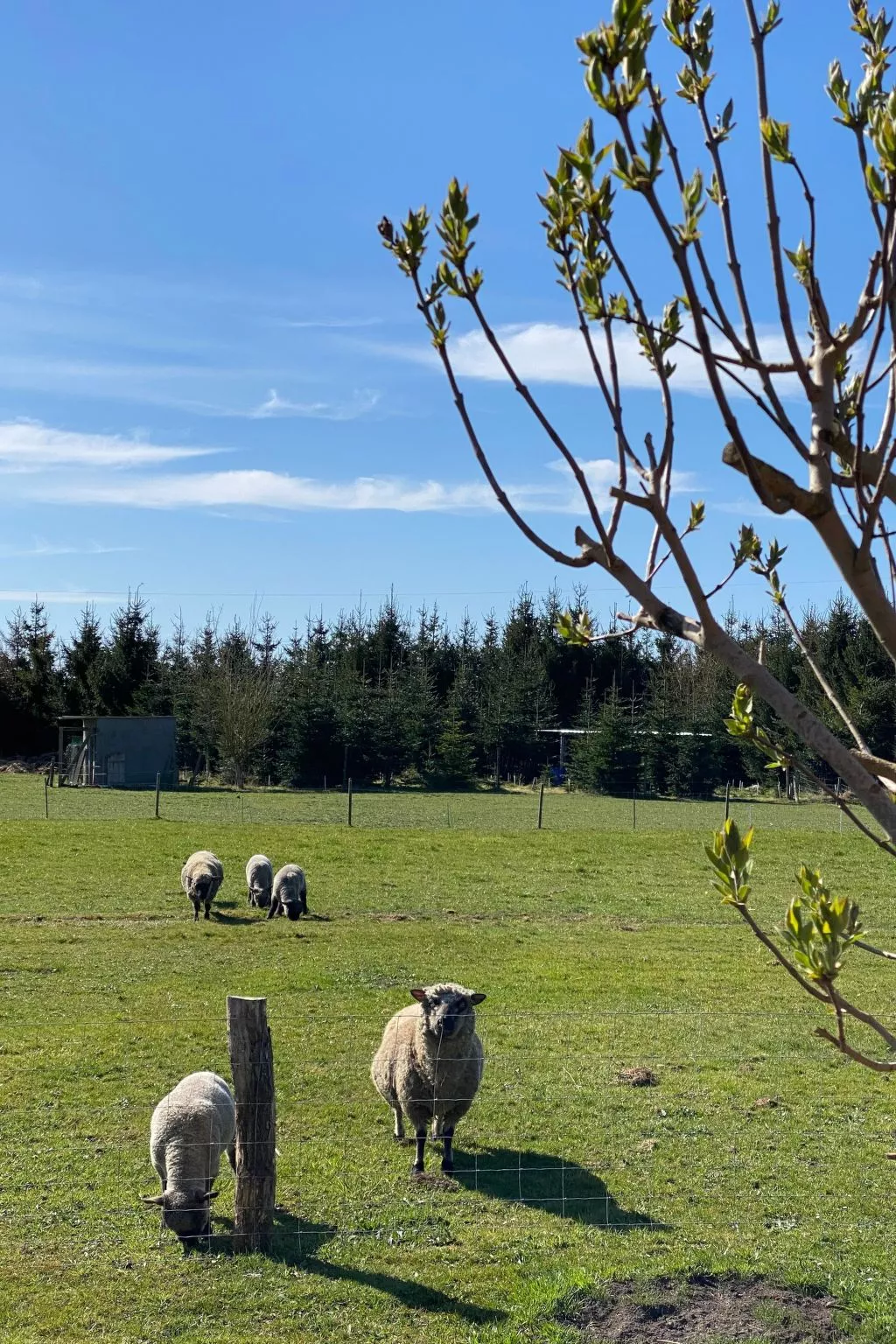 Logeerkamers "Gästezimmer Dellarte" - Image-tags.info