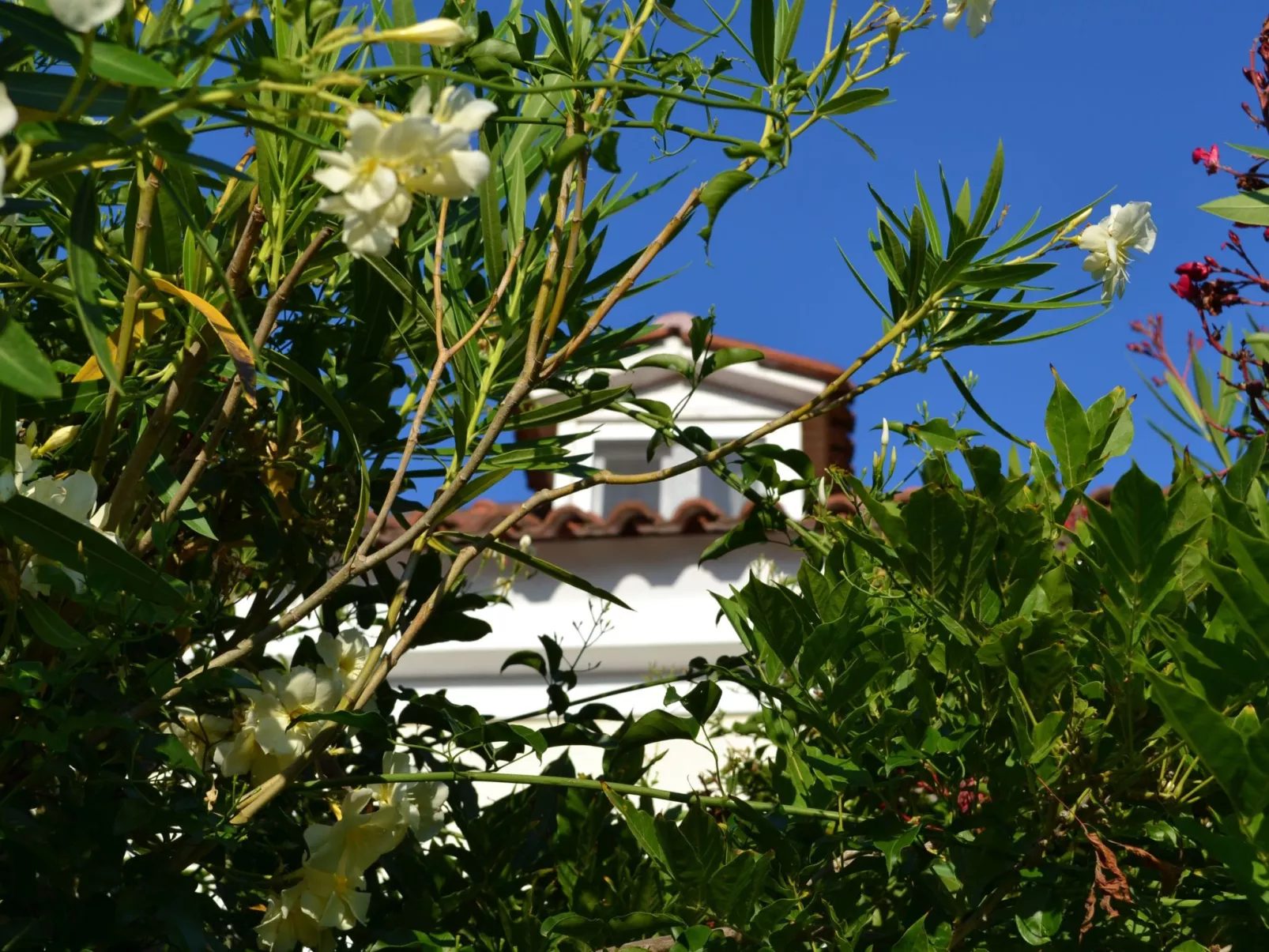 Anwesen mit Garten, Grill und Terrasse - Buiten