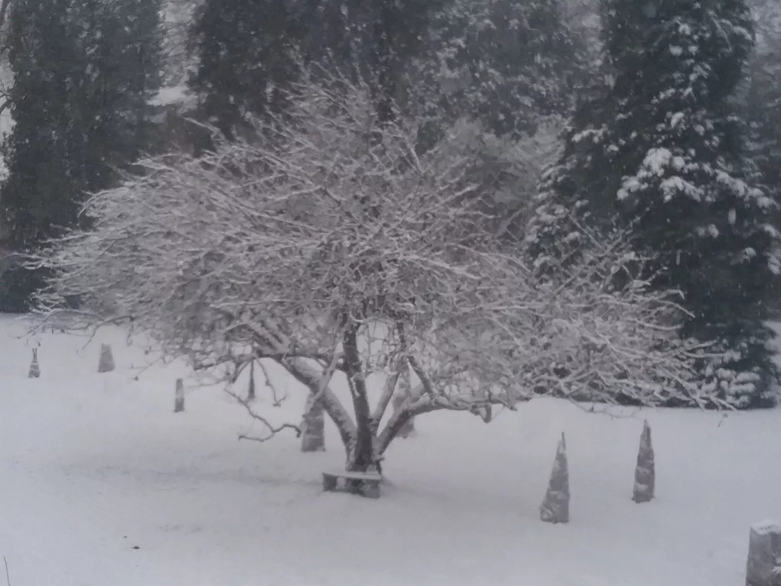 MaisonMazerand    Wohnen - Entspannen - Genießen - Buiten