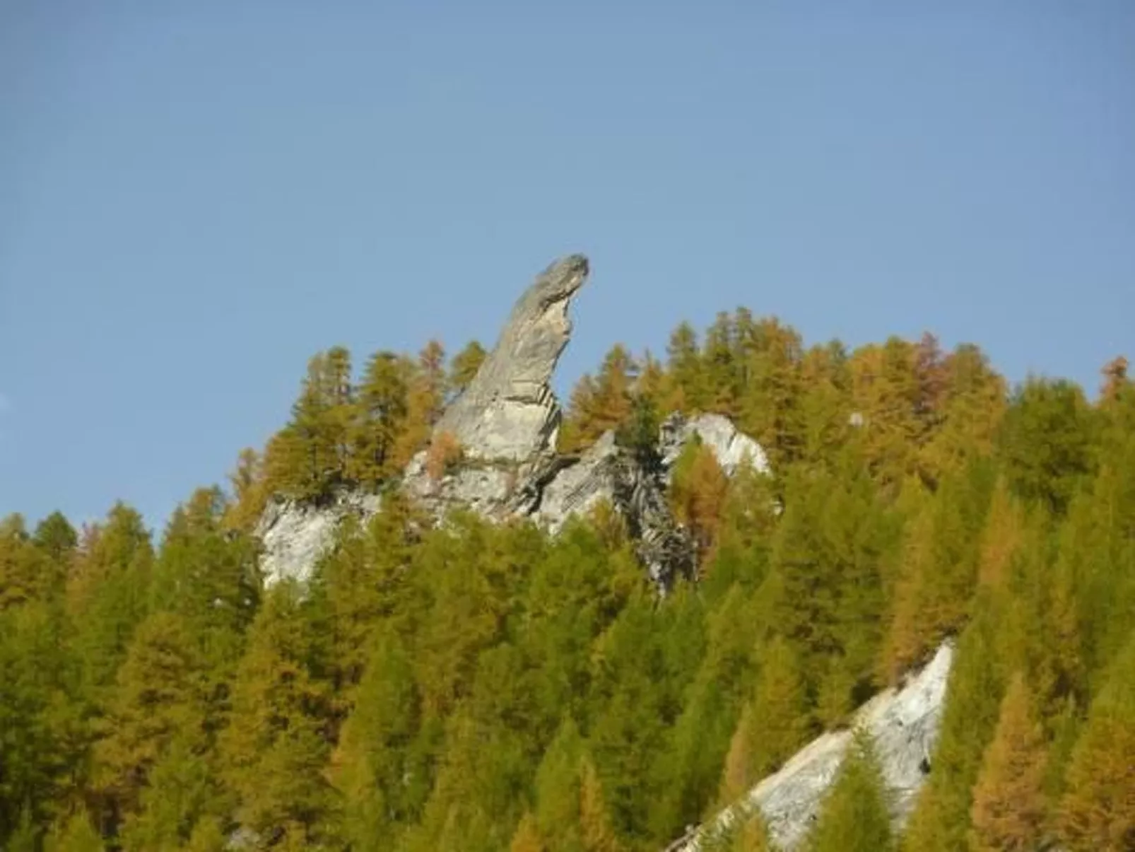 Chalet Le Murmure du Torrent - Image-tags.info