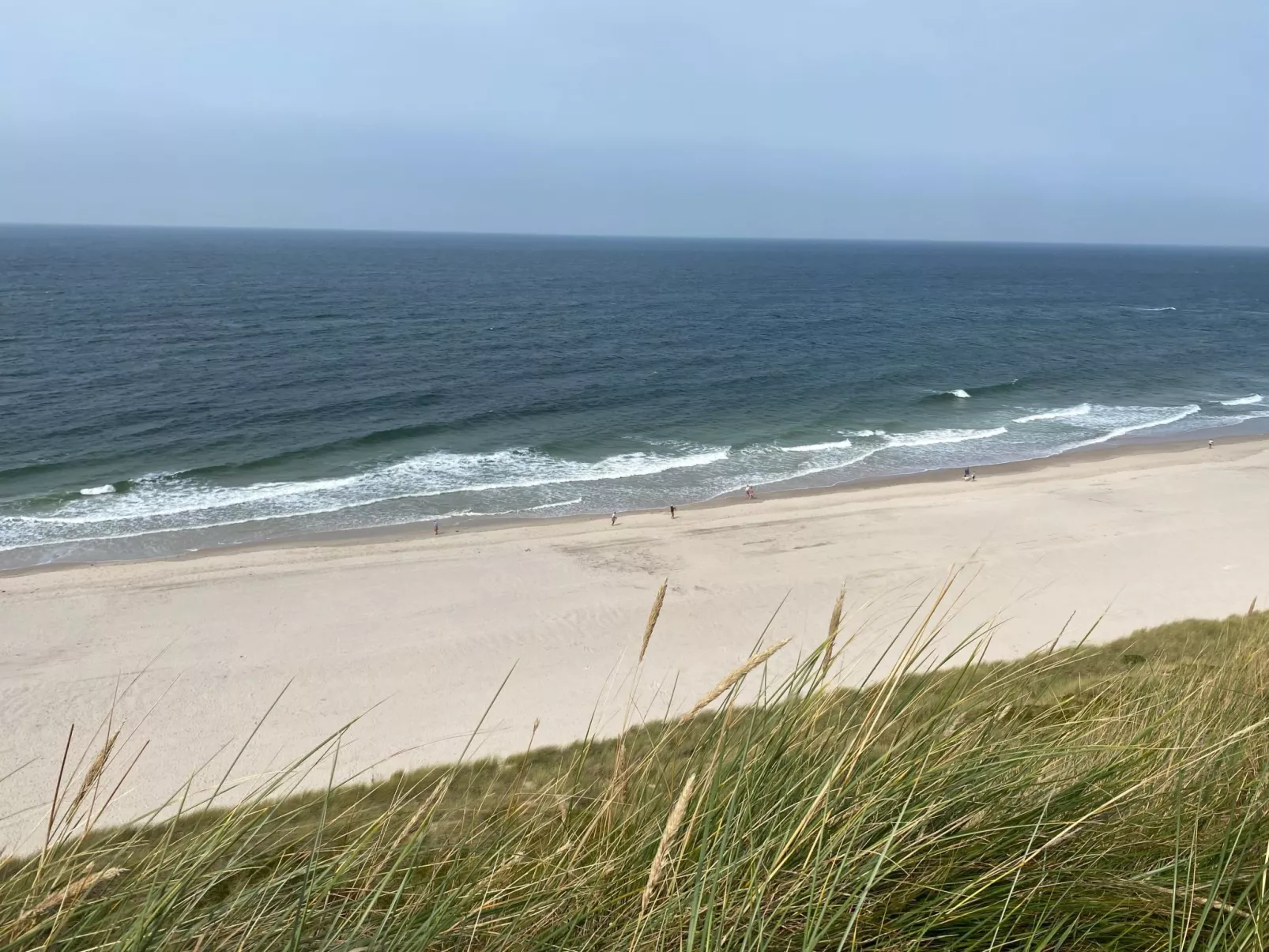 Kliff in Kampen auf Sylt - Buiten